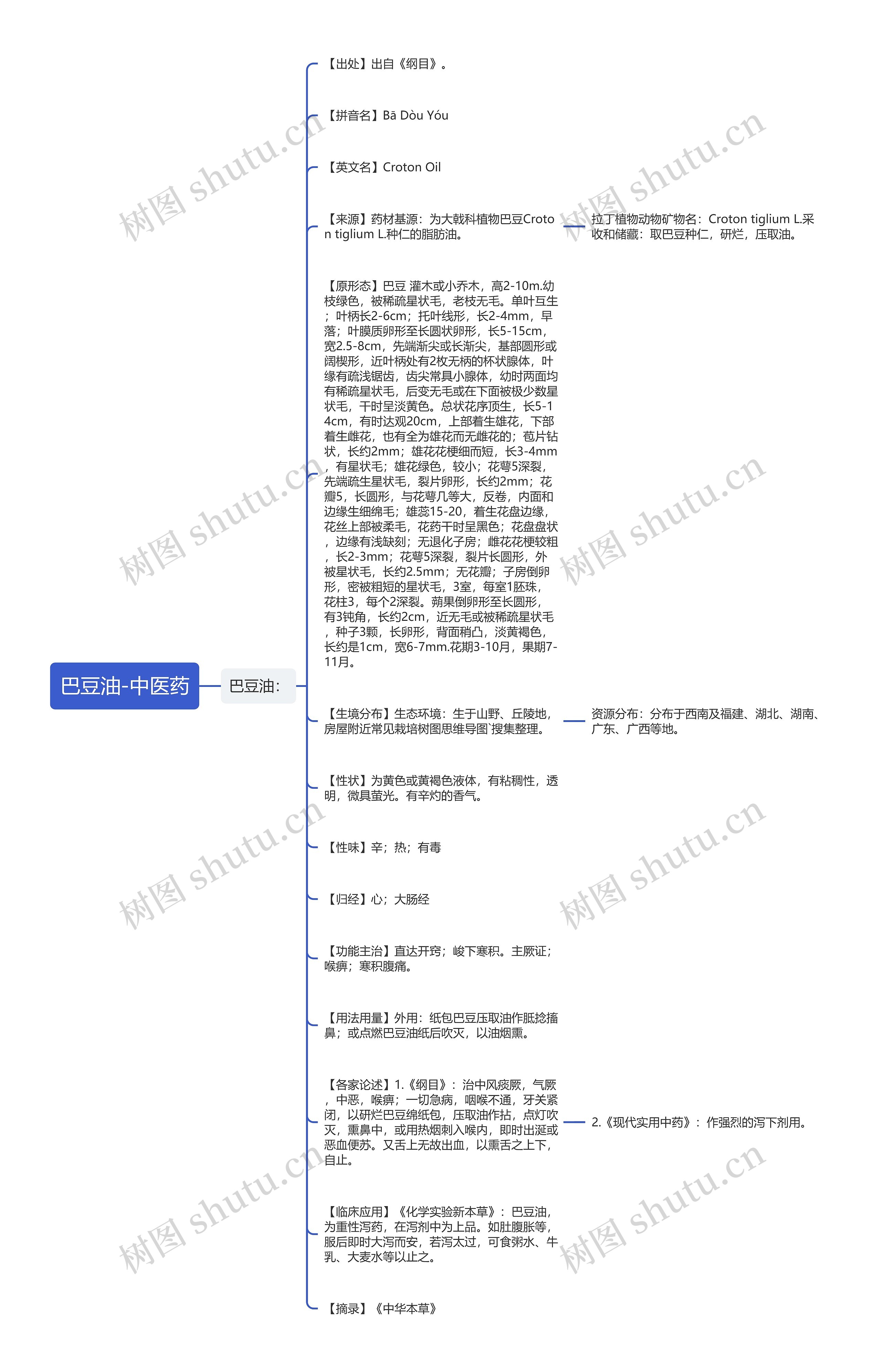 巴豆油-中医药思维导图