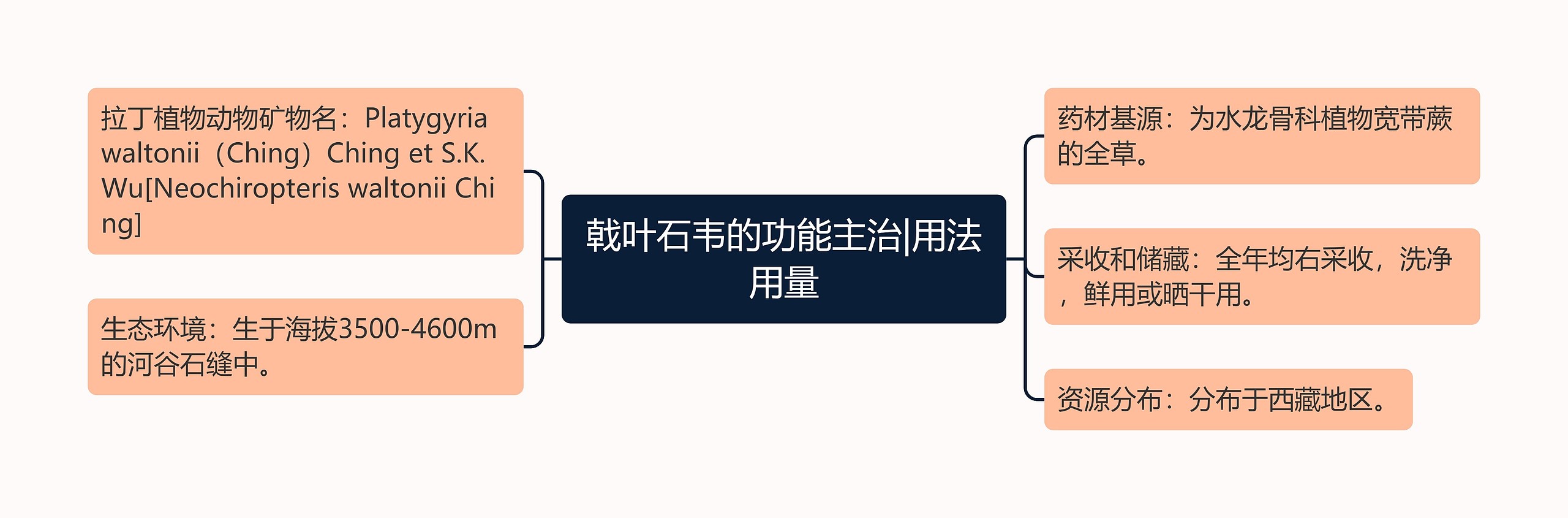戟叶石韦的功能主治|用法用量 戟叶石韦的功能主治|用法用量