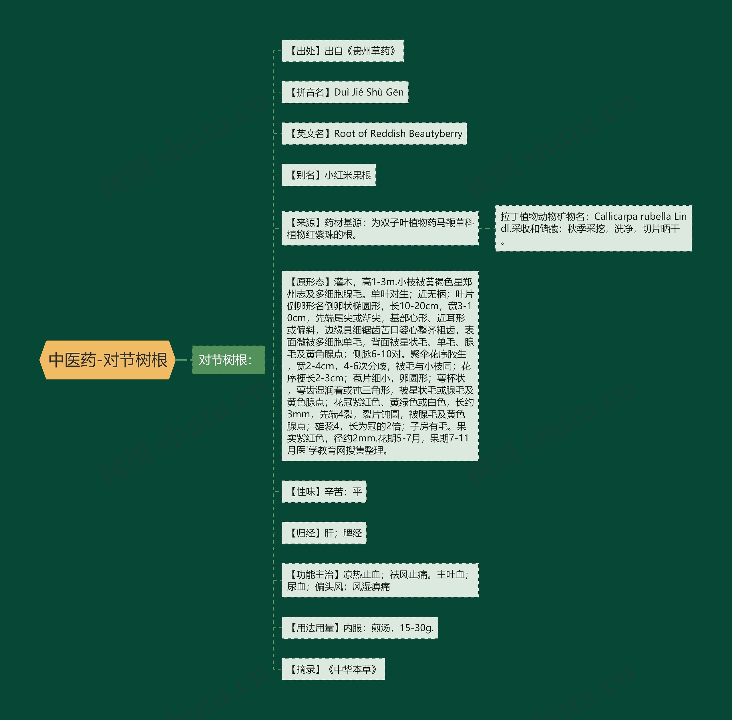 中医药-对节树根思维导图