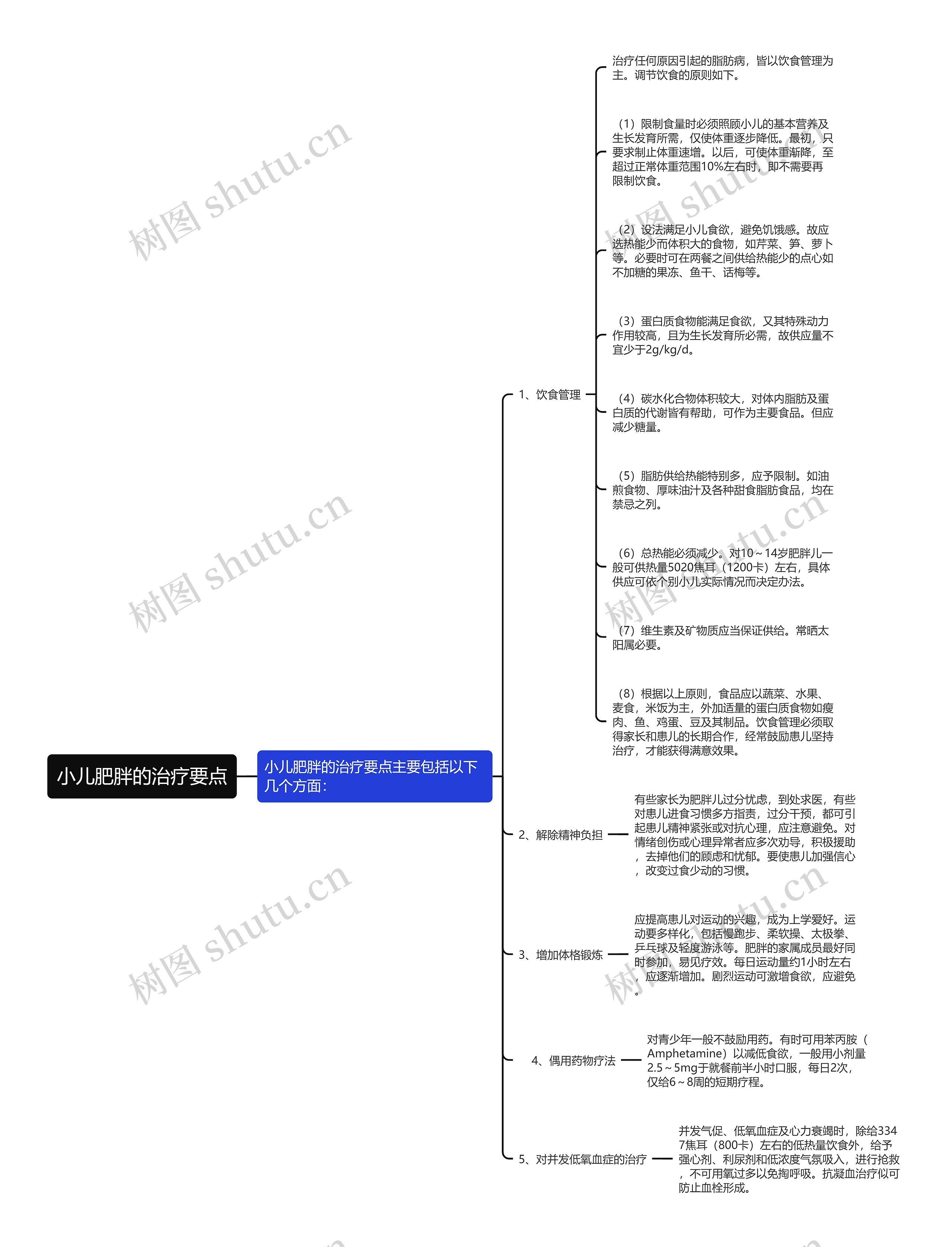 小儿肥胖的治疗要点思维导图