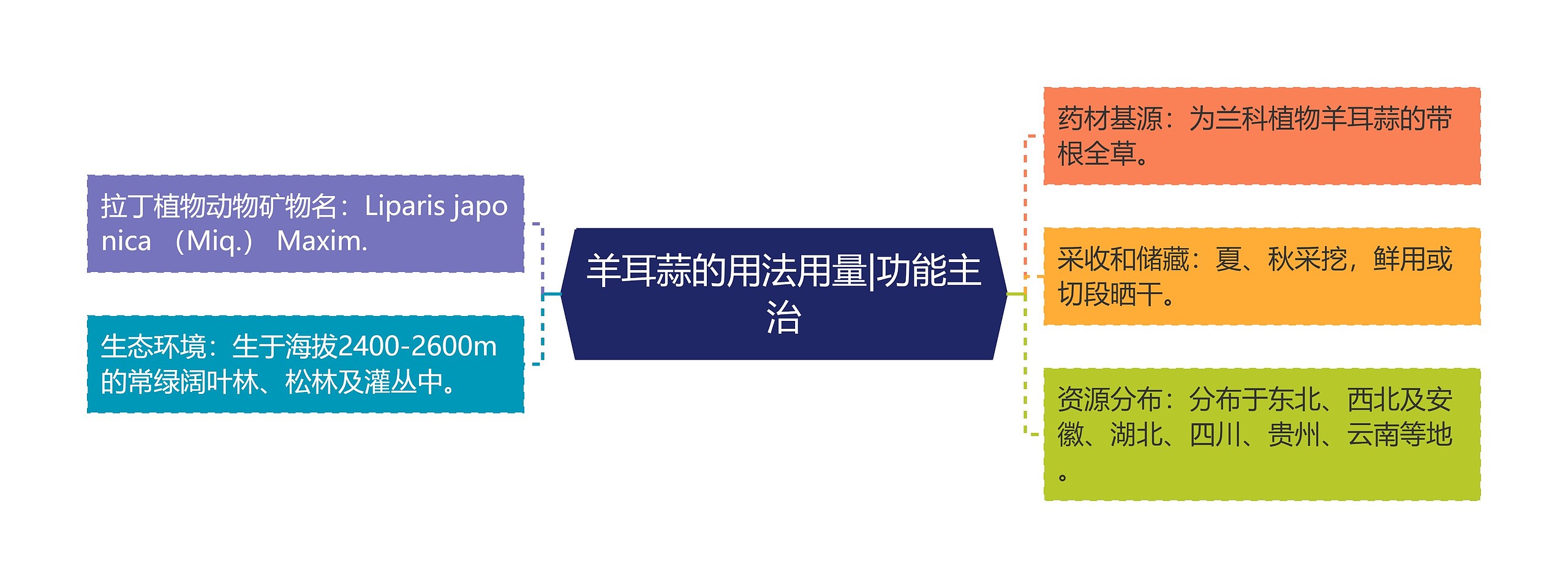 羊耳蒜的用法用量|功能主治思维导图