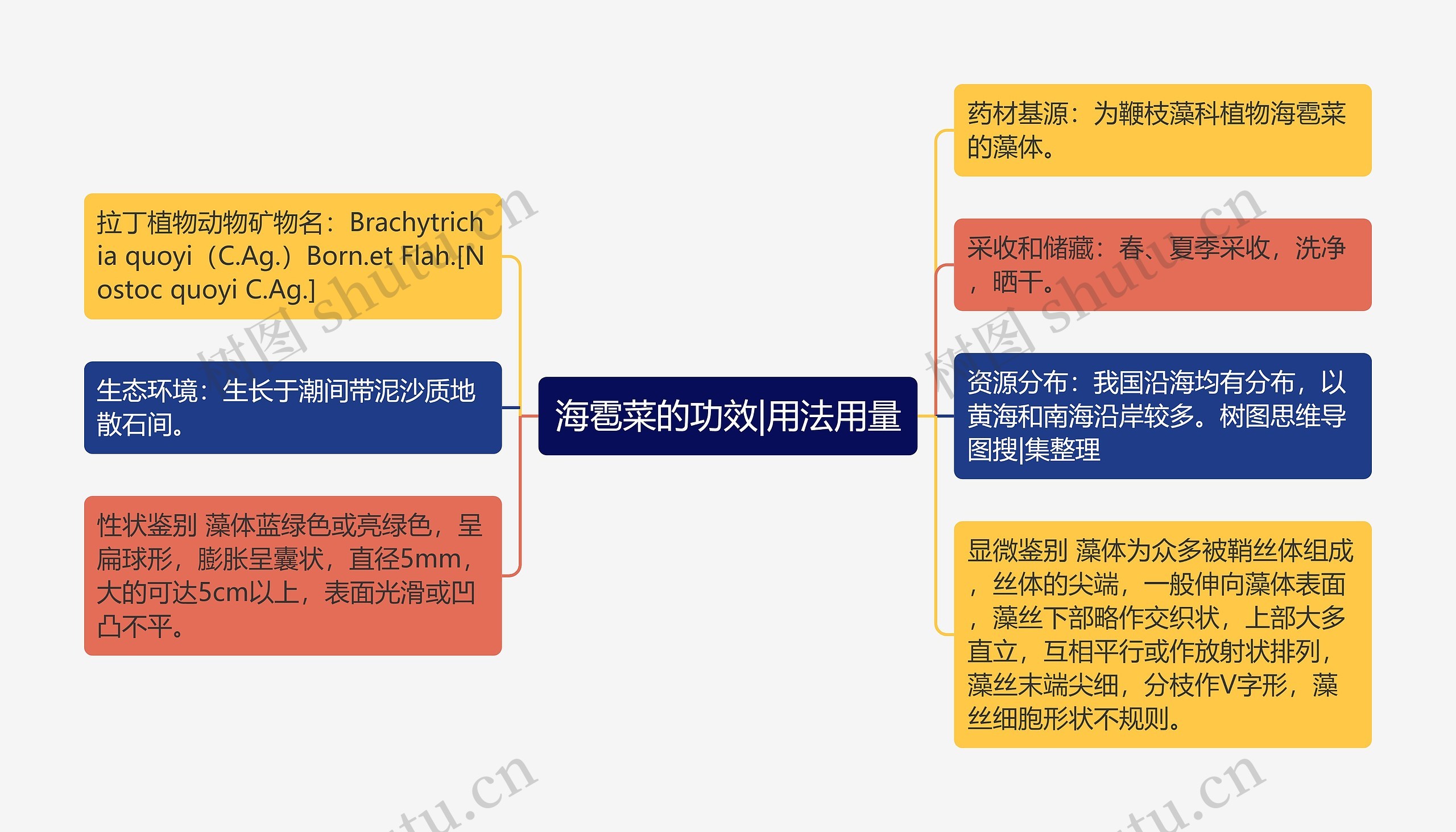 海雹菜的功效|用法用量