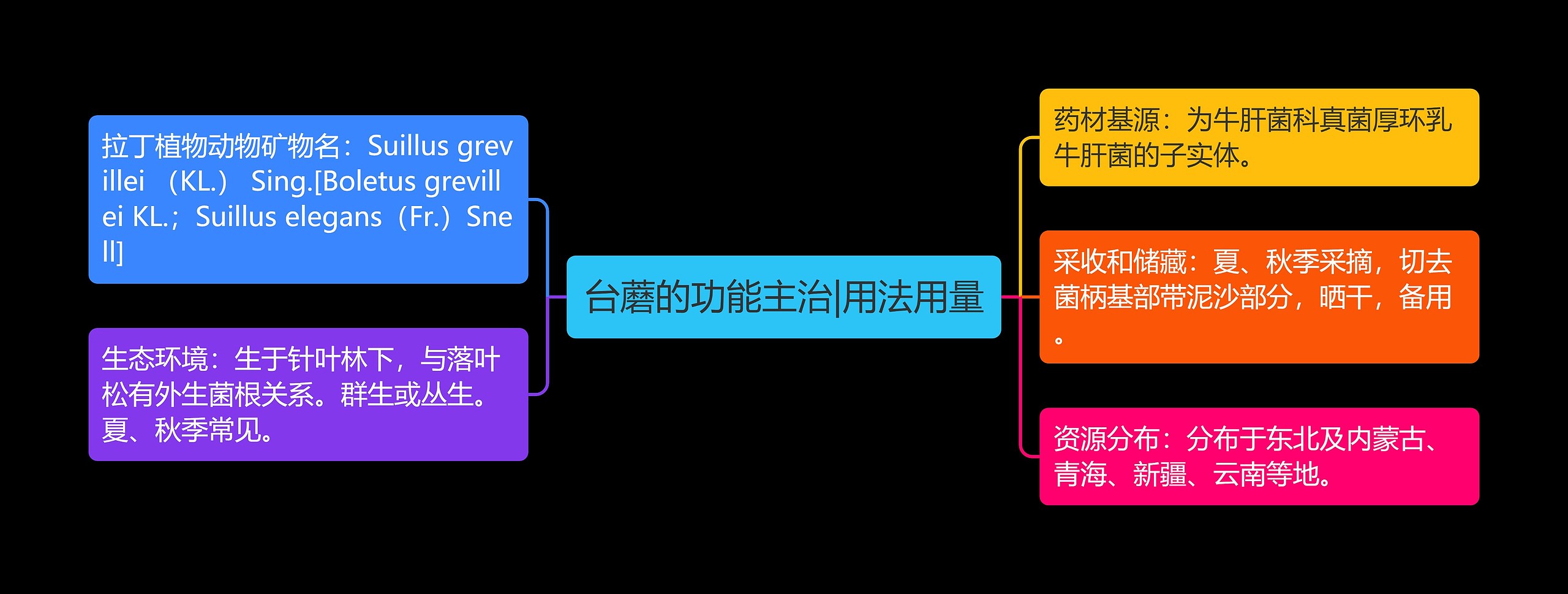 台蘑的功能主治|用法用量思维导图