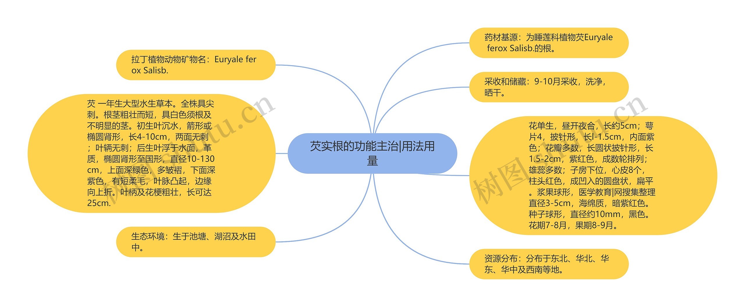 芡实根的功能主治|用法用量思维导图