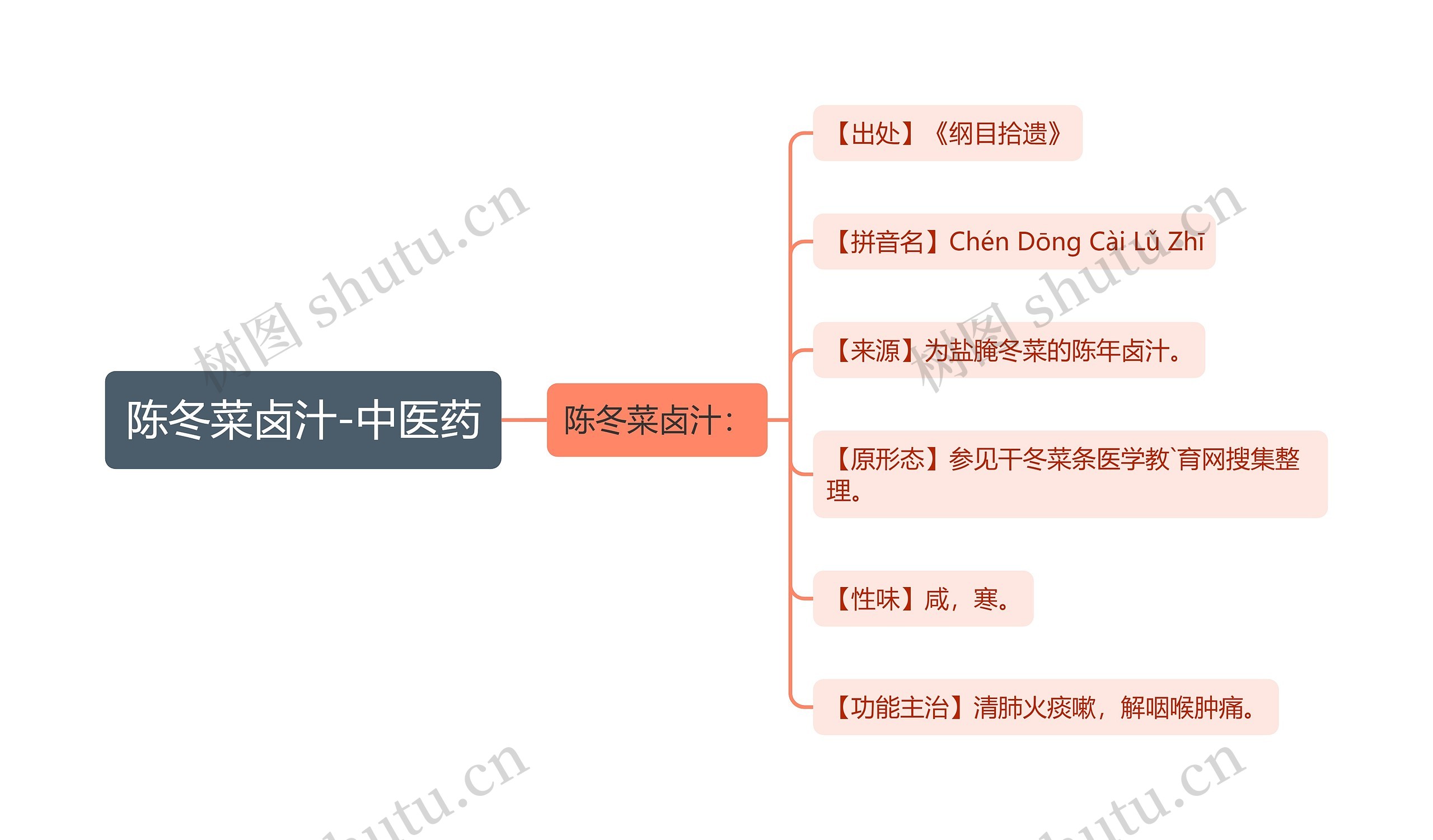 陈冬菜卤汁-中医药思维导图