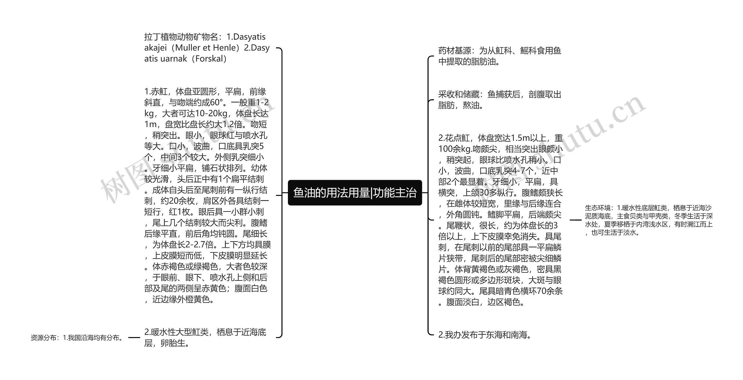 鱼油的用法用量|功能主治思维导图