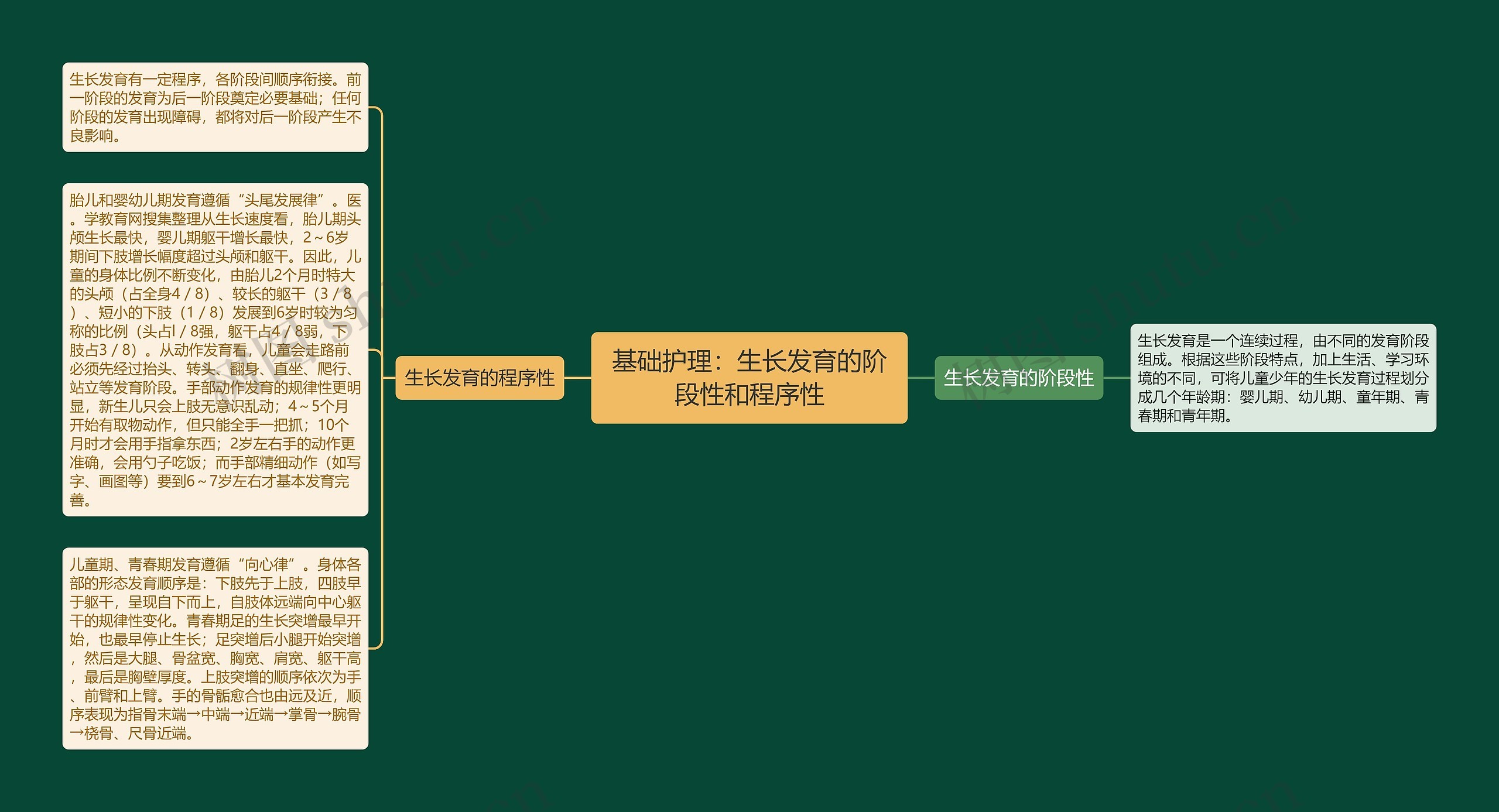 基础护理：生长发育的阶段性和程序性思维导图