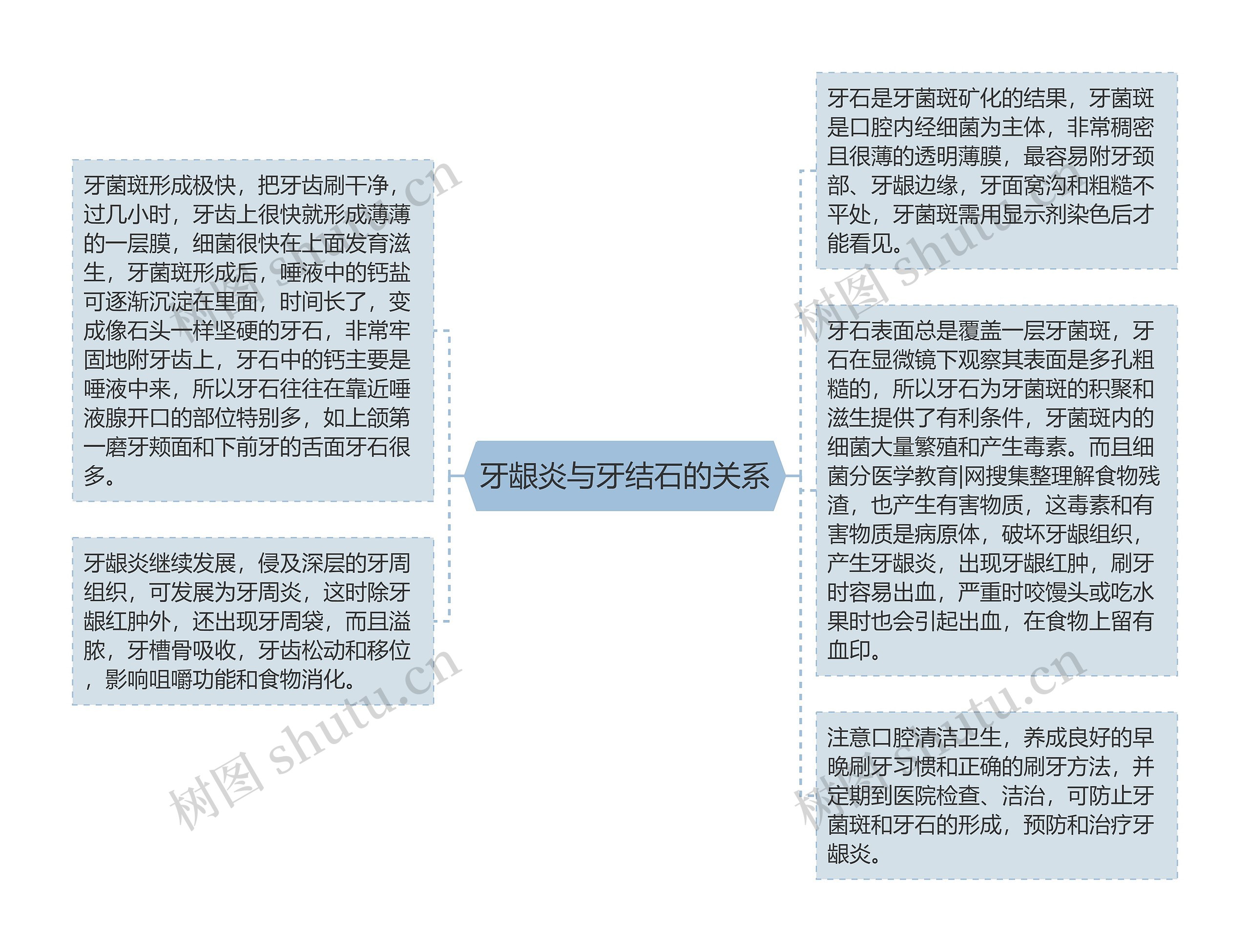 牙龈炎与牙结石的关系思维导图