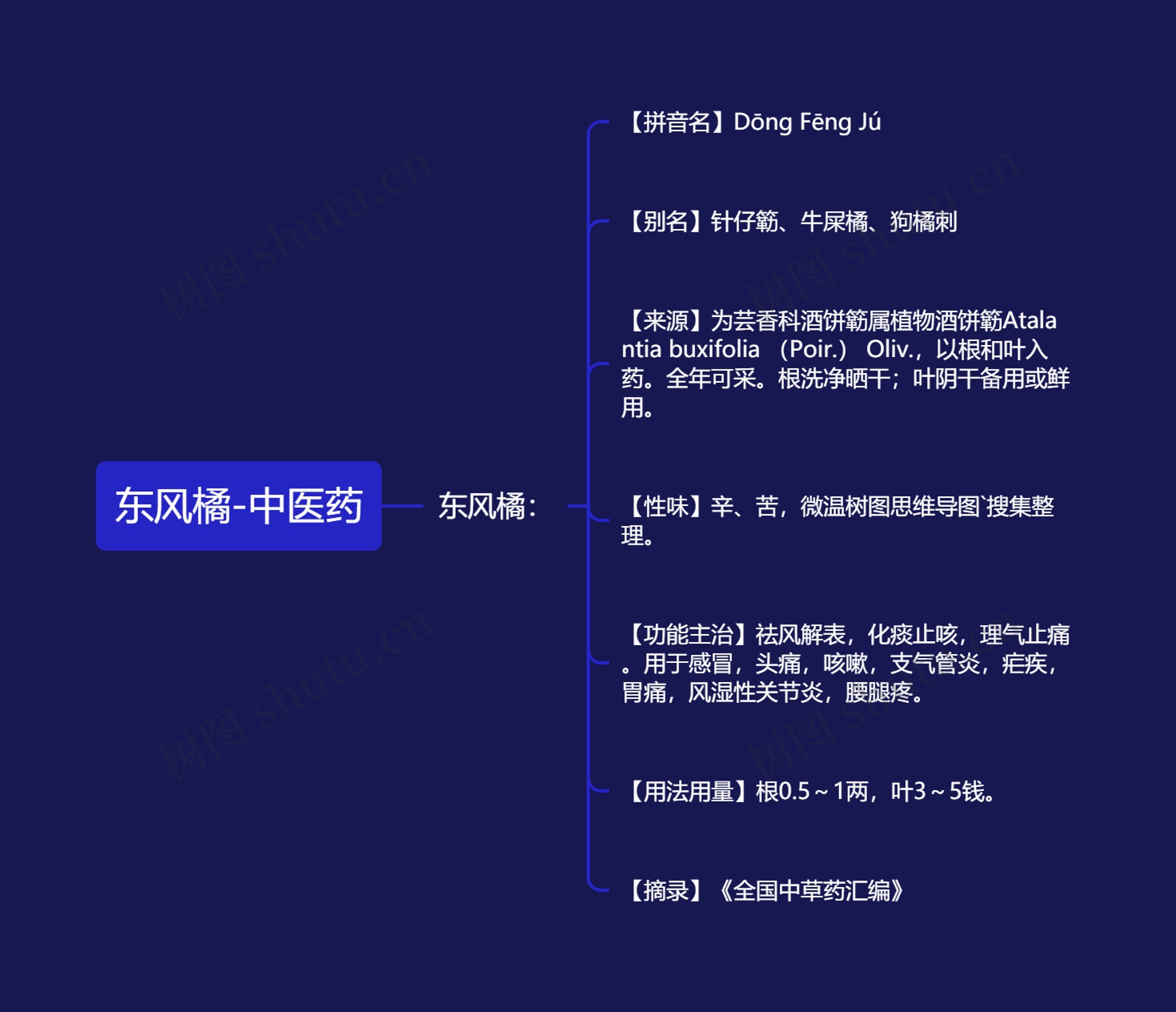 东风橘-中医药 东风橘-中医药