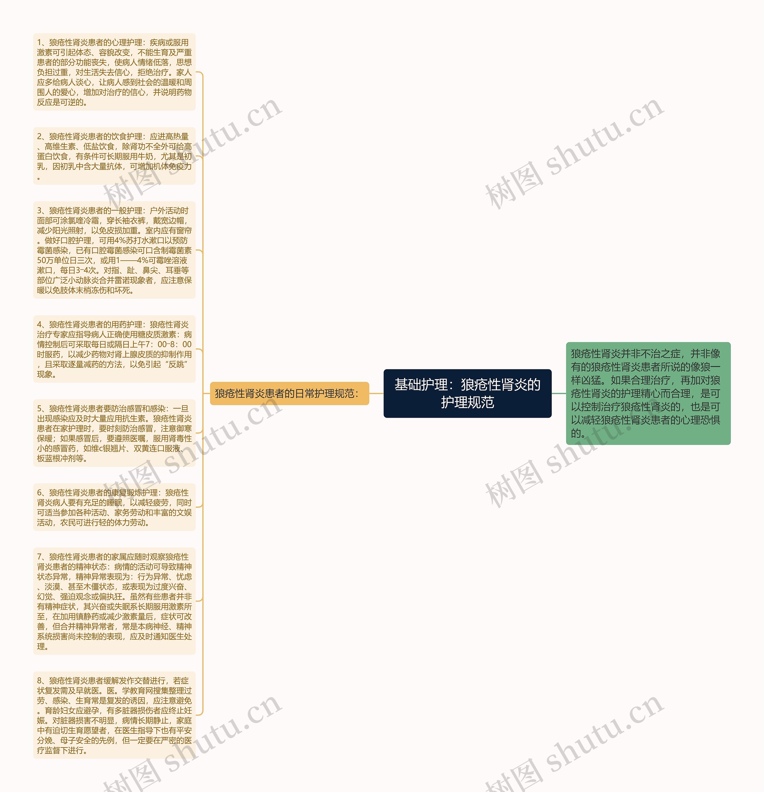 基础护理：狼疮性肾炎的护理规范思维导图