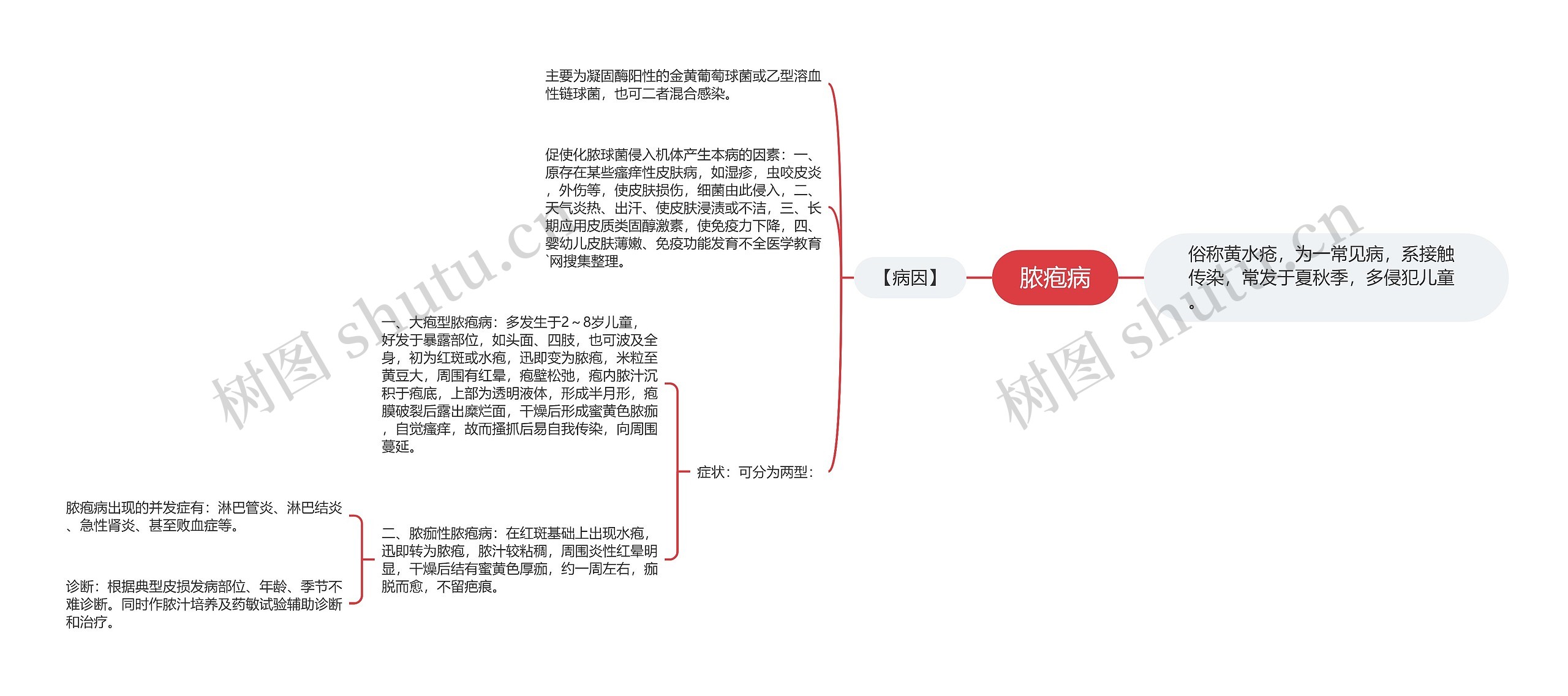 脓疱病思维导图