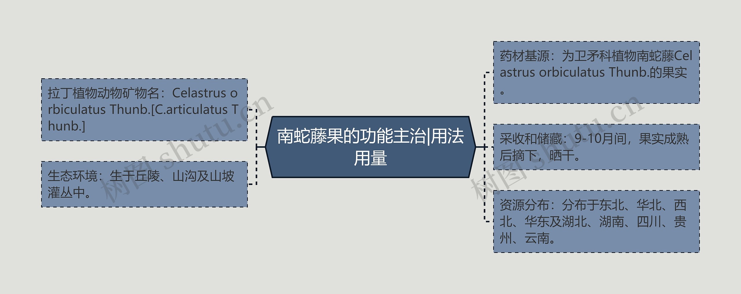 南蛇藤果的功能主治|用法用量