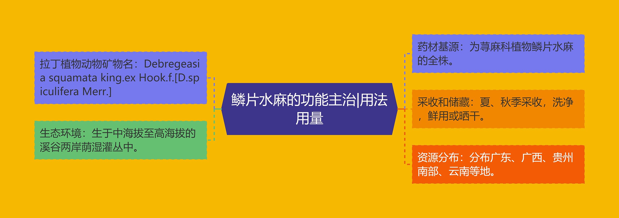 鳞片水麻的功能主治|用法用量 鳞片水麻的功能主治|用法用量