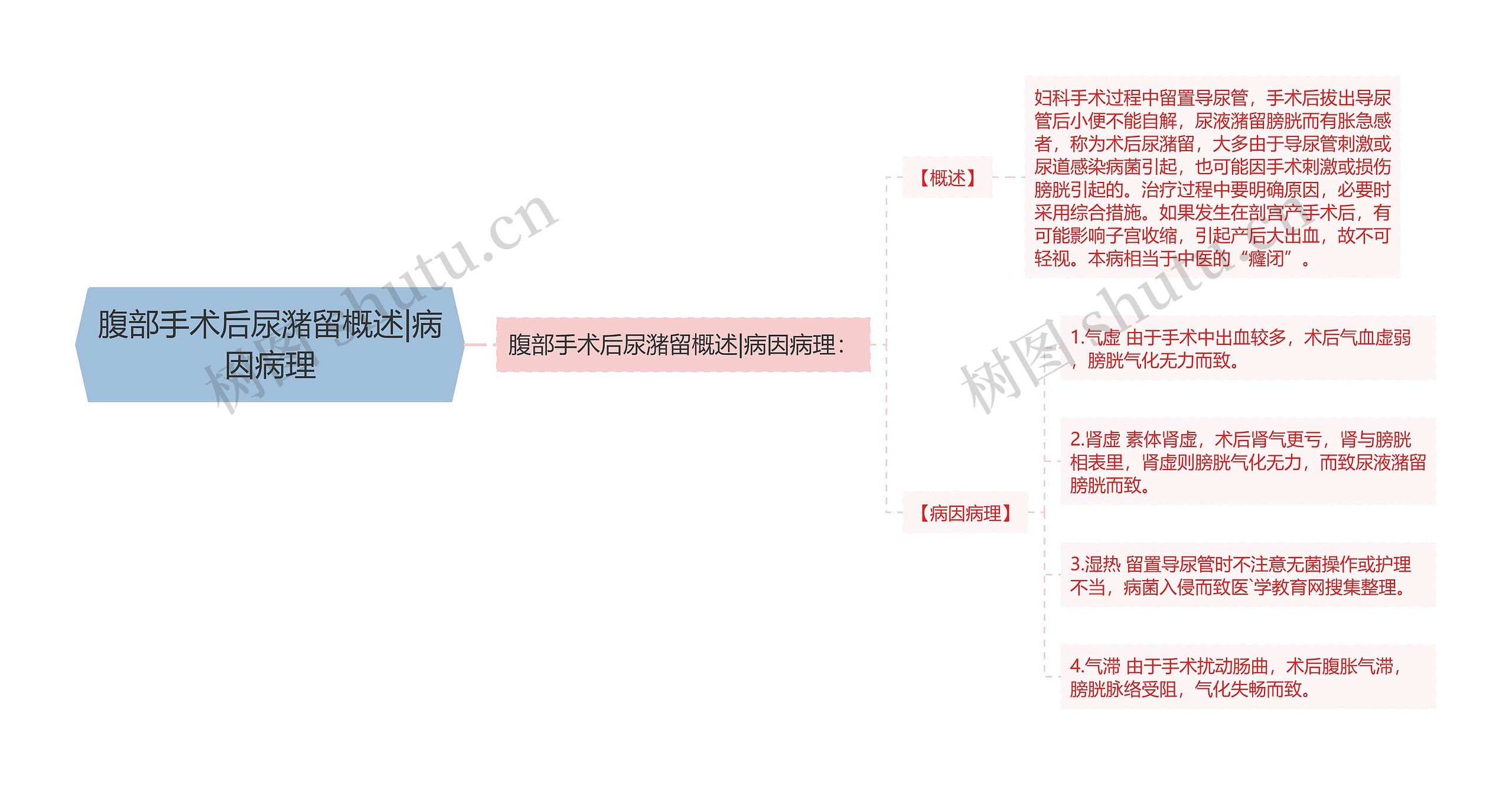 腹部手术后尿潴留概述|病因病理思维导图