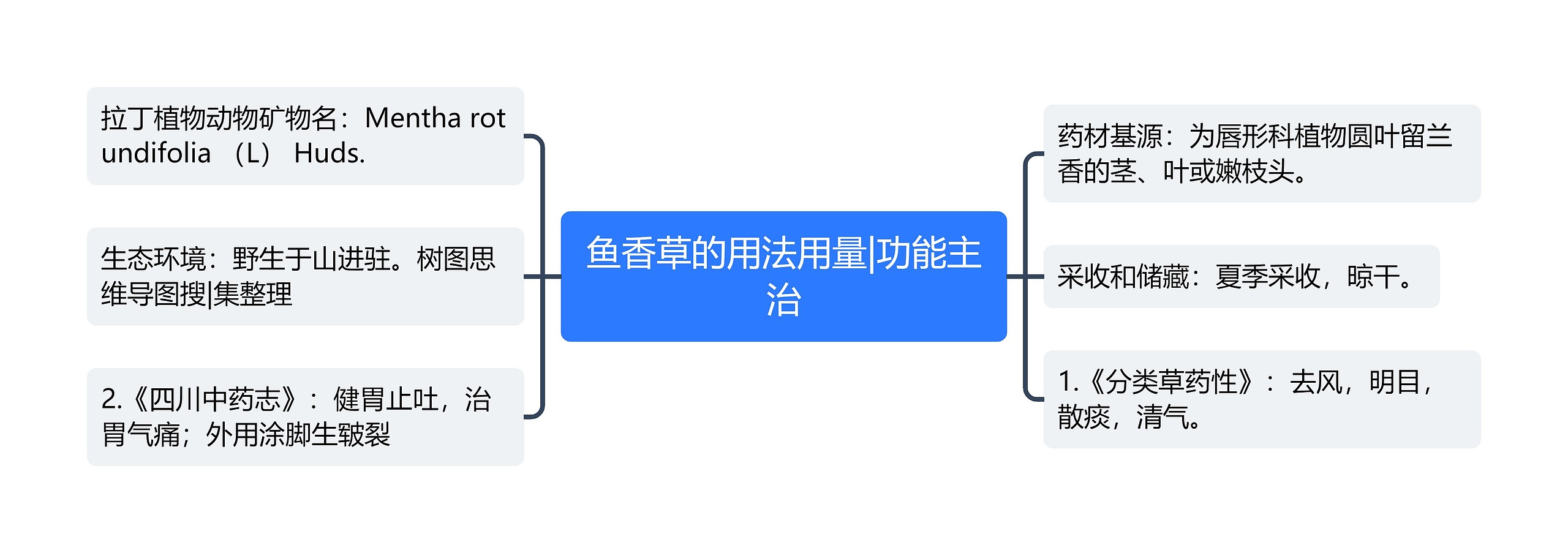 鱼香草的用法用量|功能主治思维导图