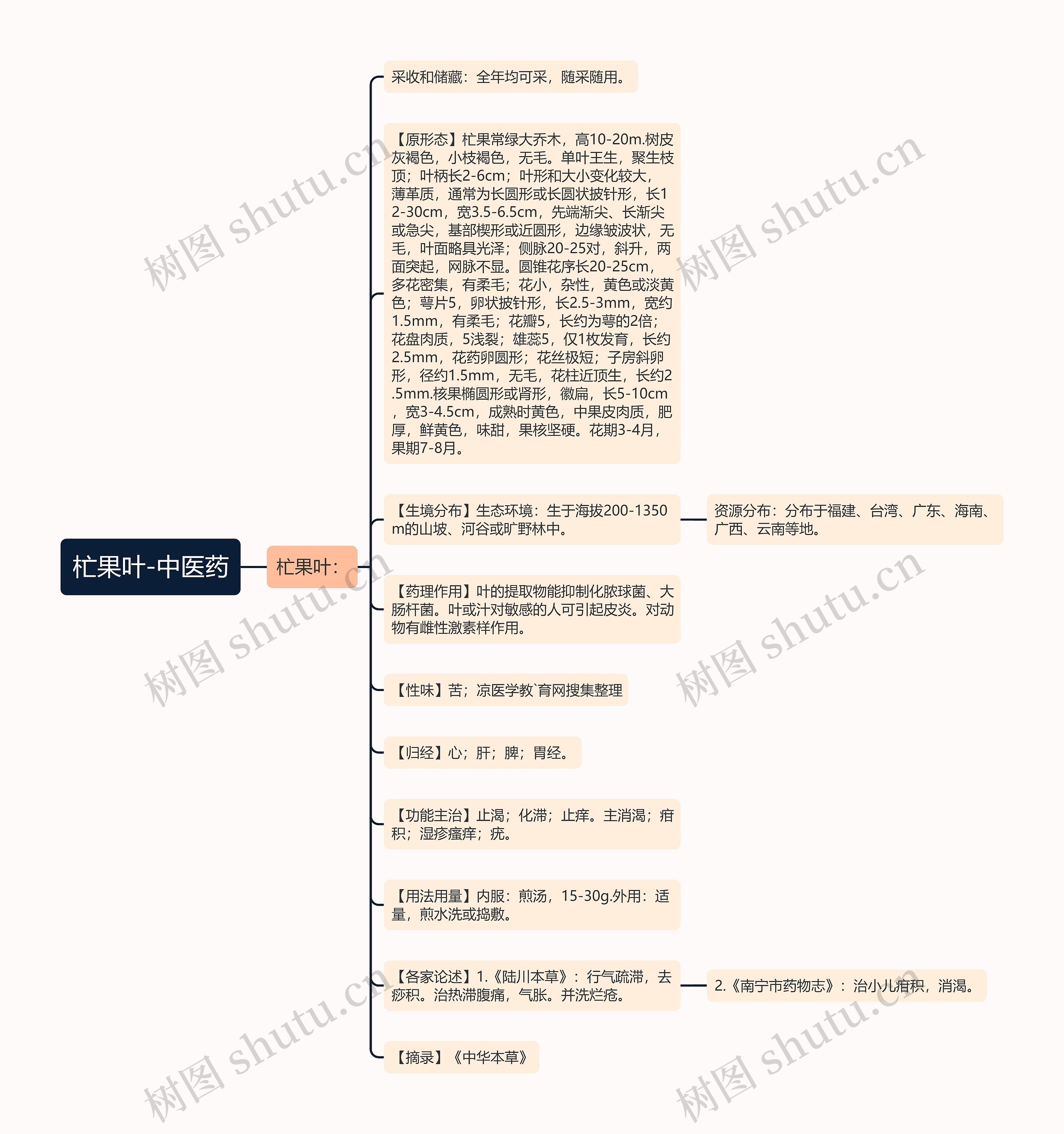 杧果叶-中医药思维导图