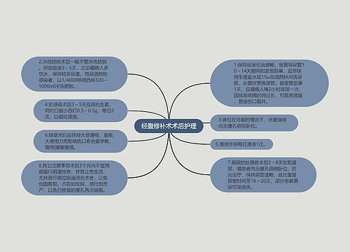 经腹修补术术后护理