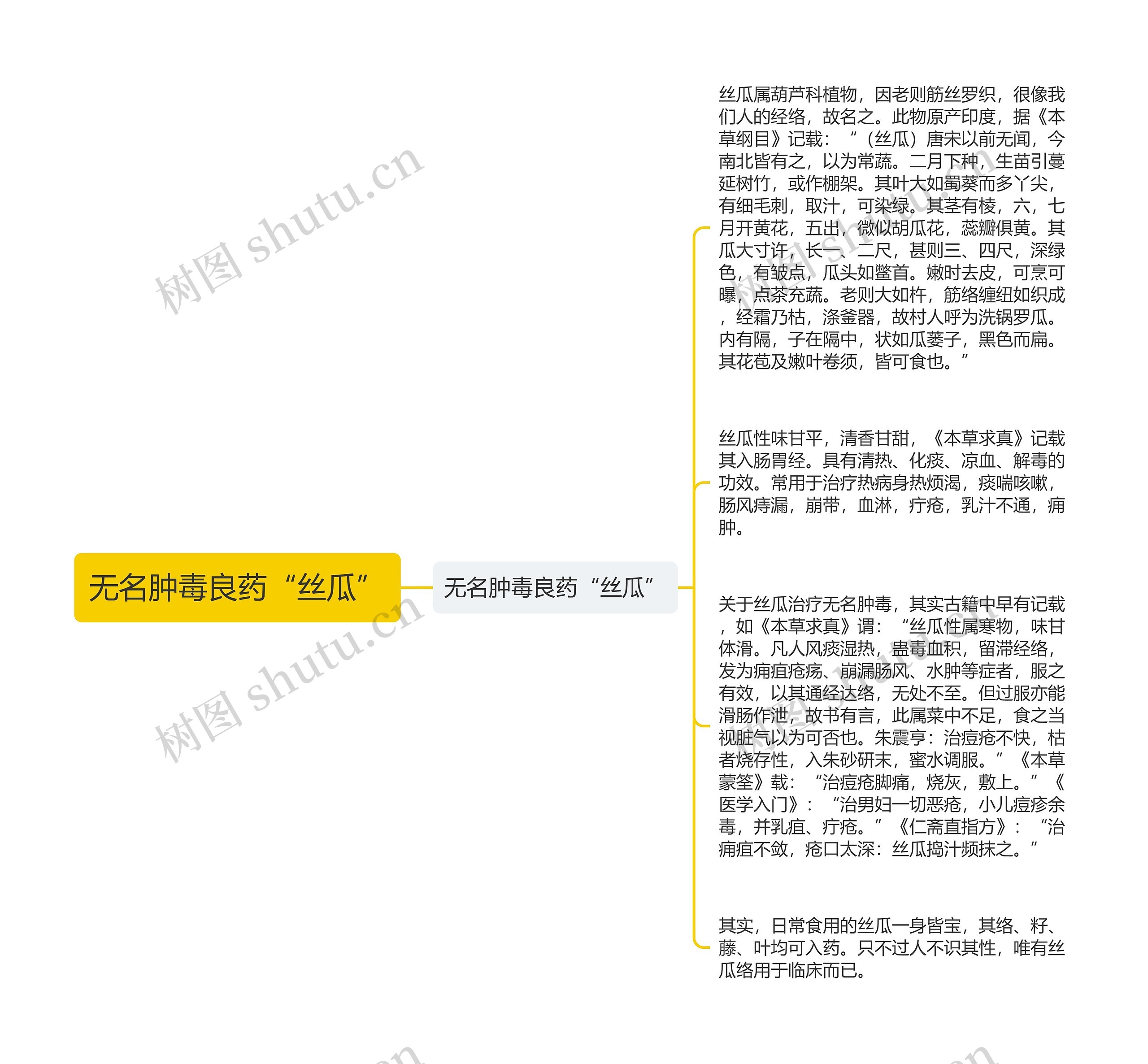 无名肿毒良药“丝瓜”思维导图