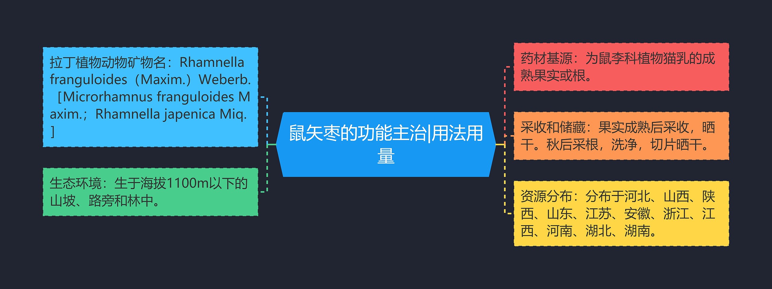 鼠矢枣的功能主治|用法用量