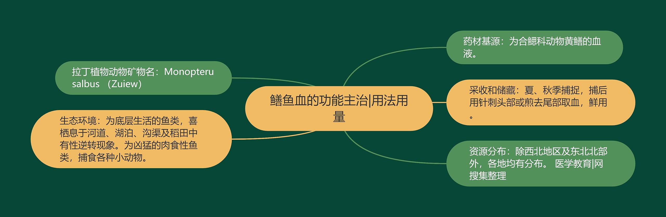 鳝鱼血的功能主治|用法用量