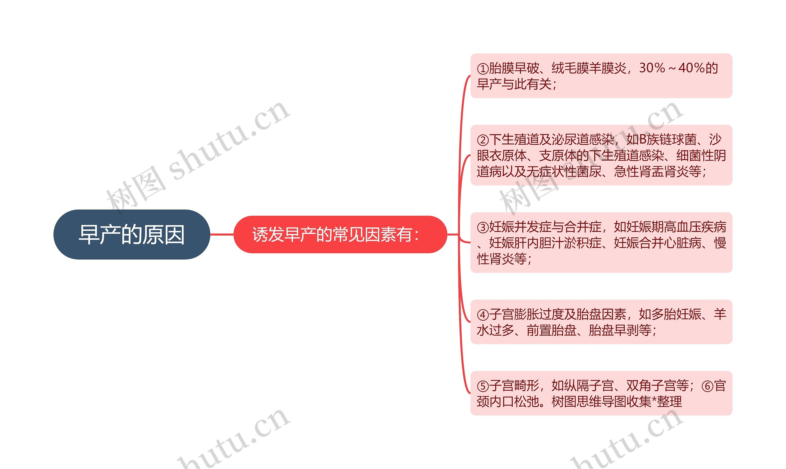 早产的原因思维导图