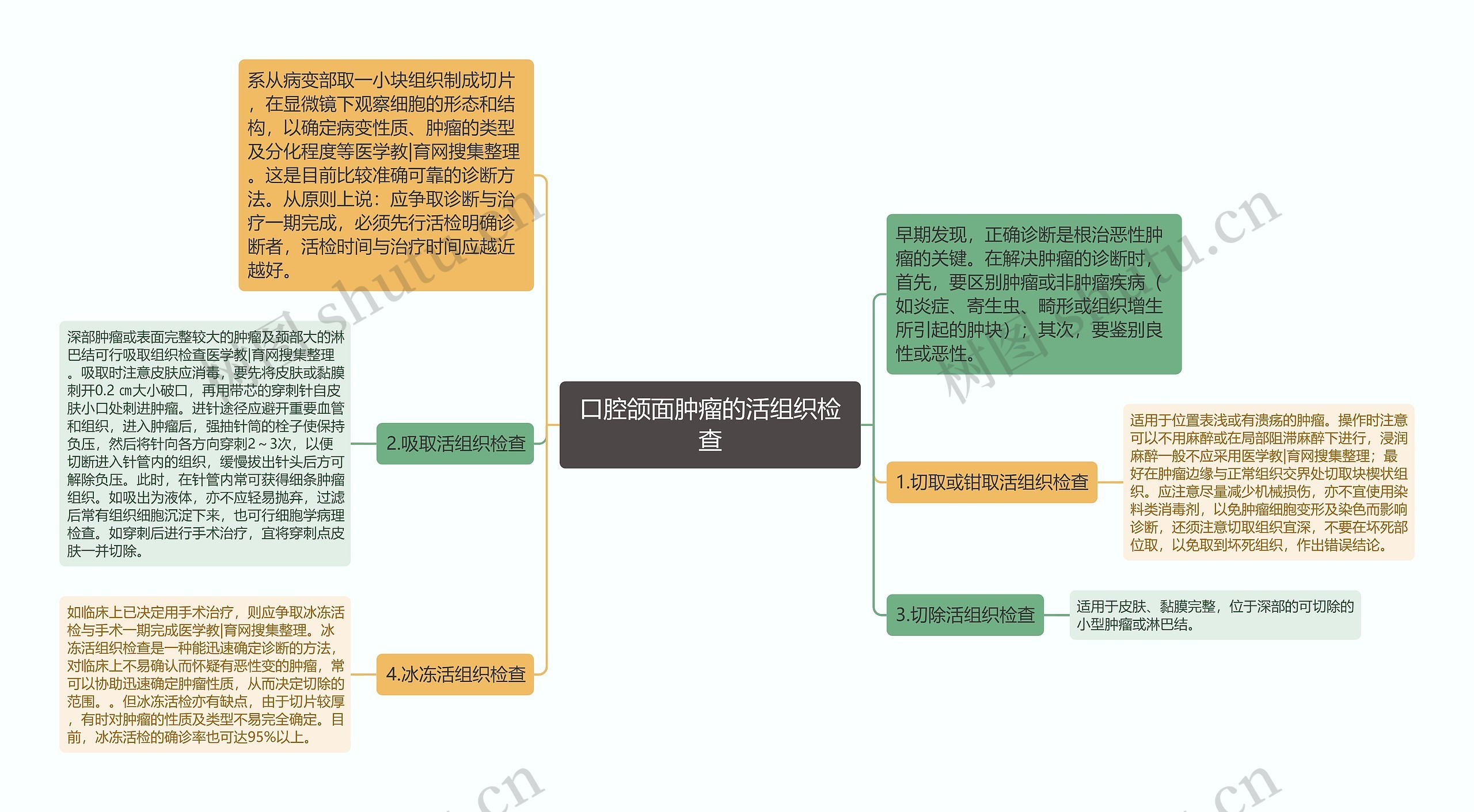 口腔颌面肿瘤的活组织检查思维导图