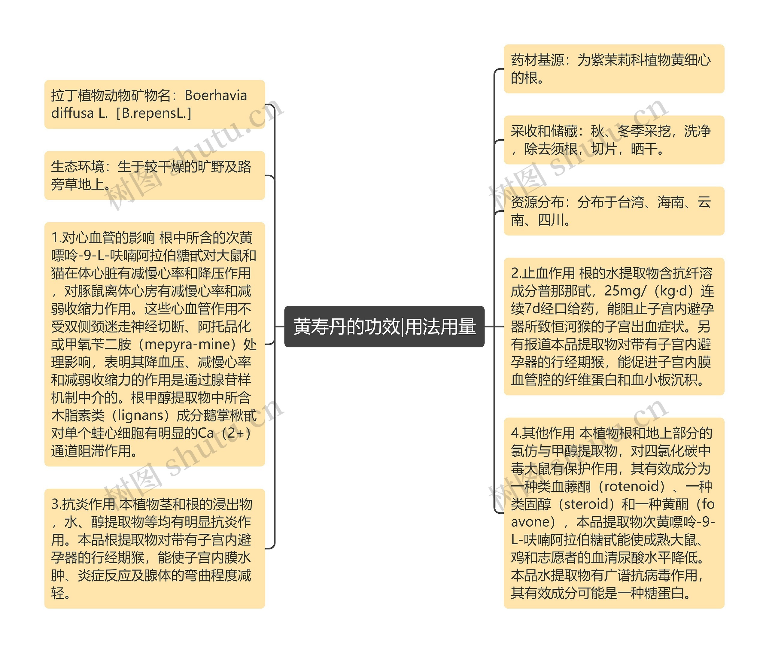 黄寿丹的功效|用法用量思维导图