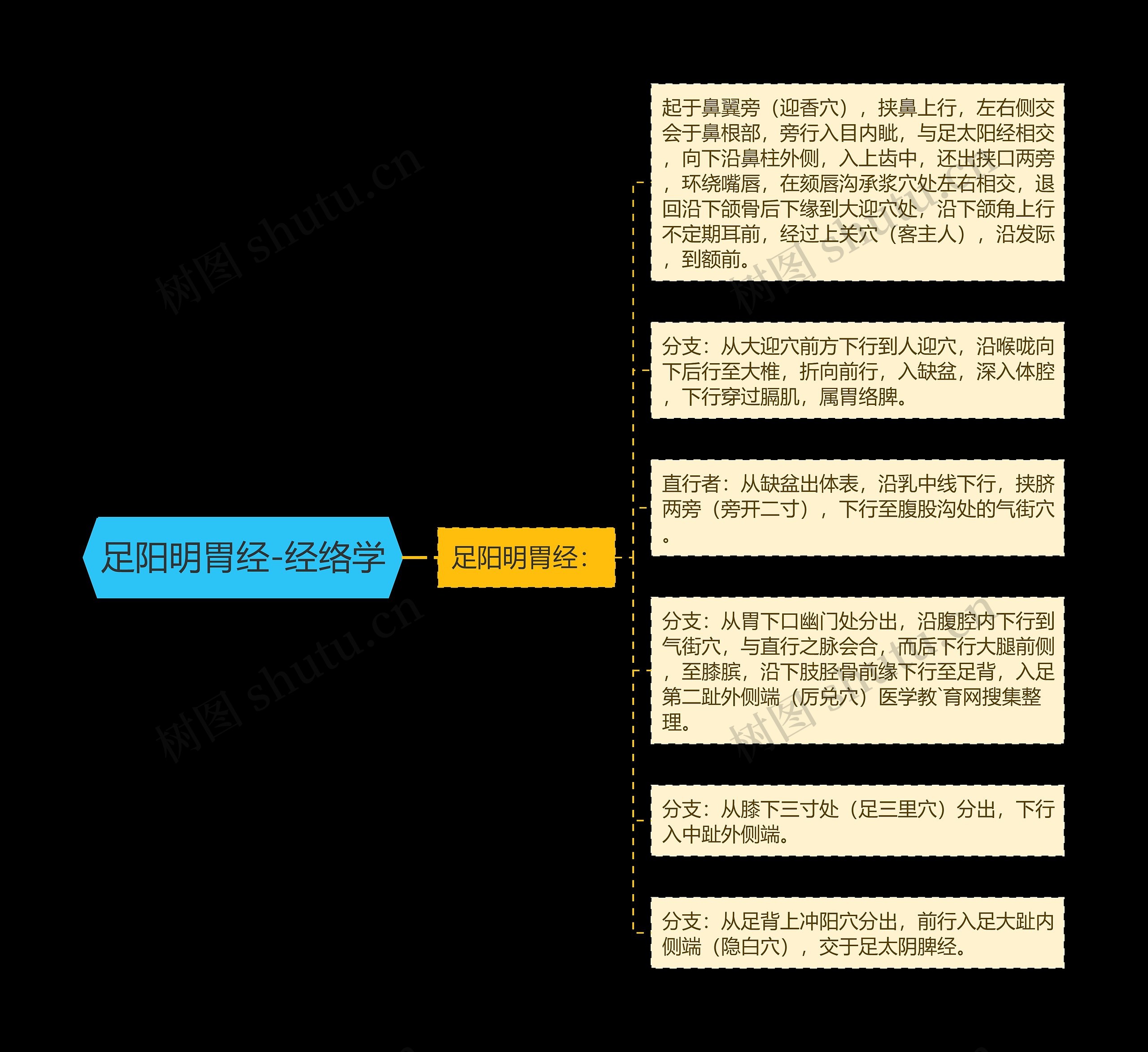 足阳明胃经-经络学思维导图