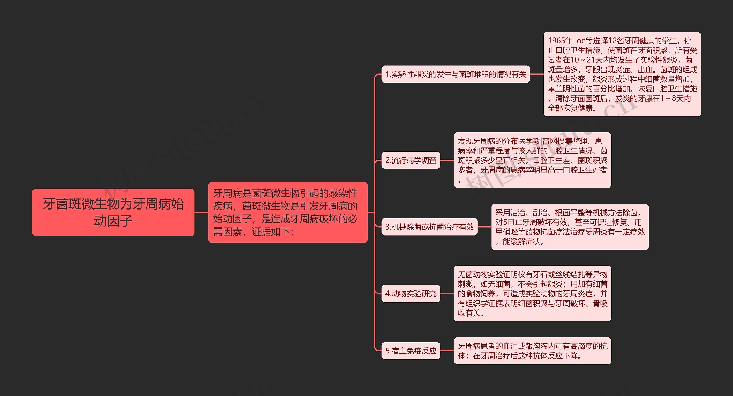 牙菌斑微生物为牙周病始动因子思维导图