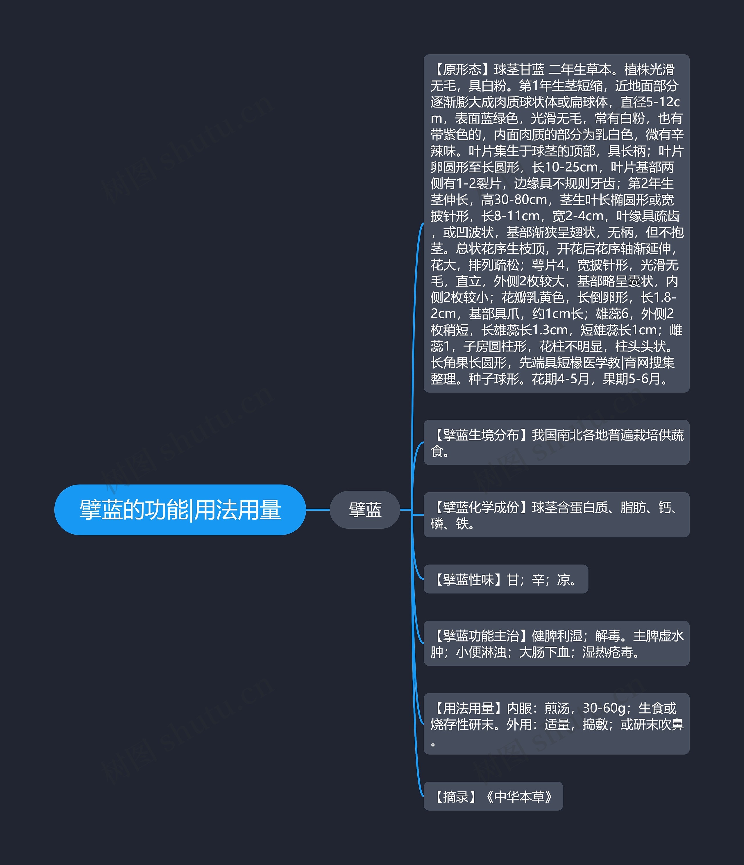 擘蓝的功能|用法用量