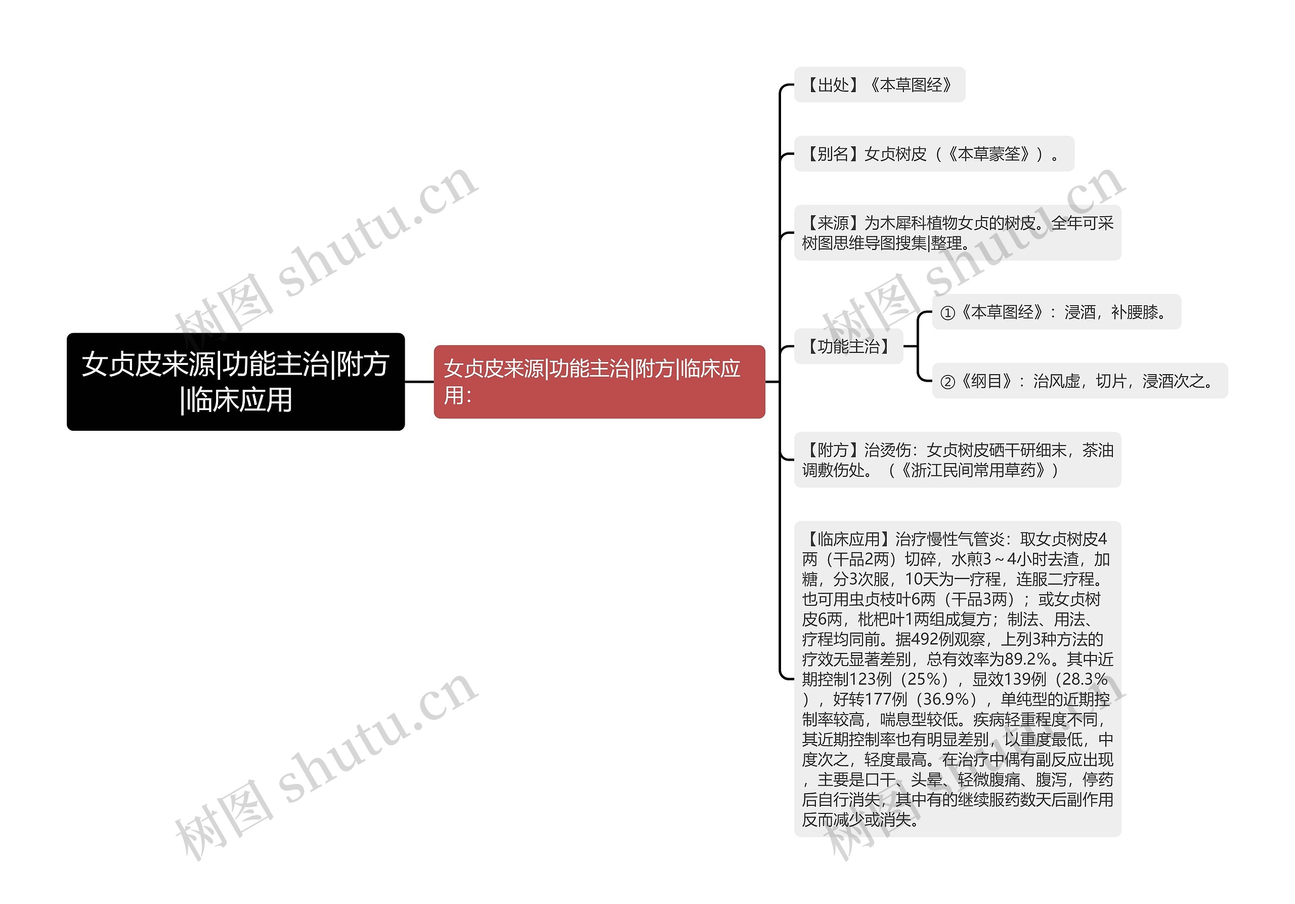 女贞皮来源|功能主治|附方|临床应用思维导图