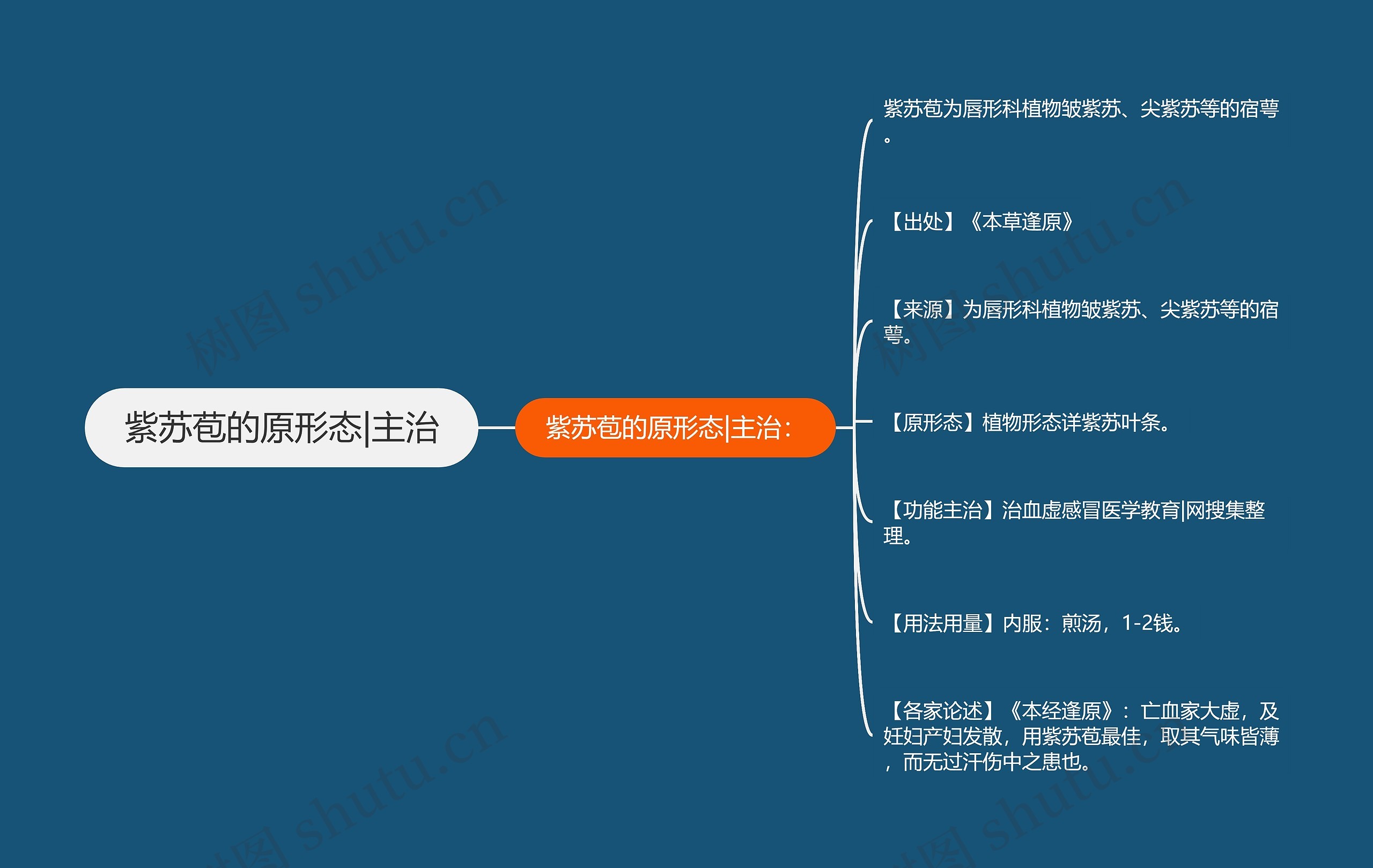 紫苏苞的原形态|主治思维导图