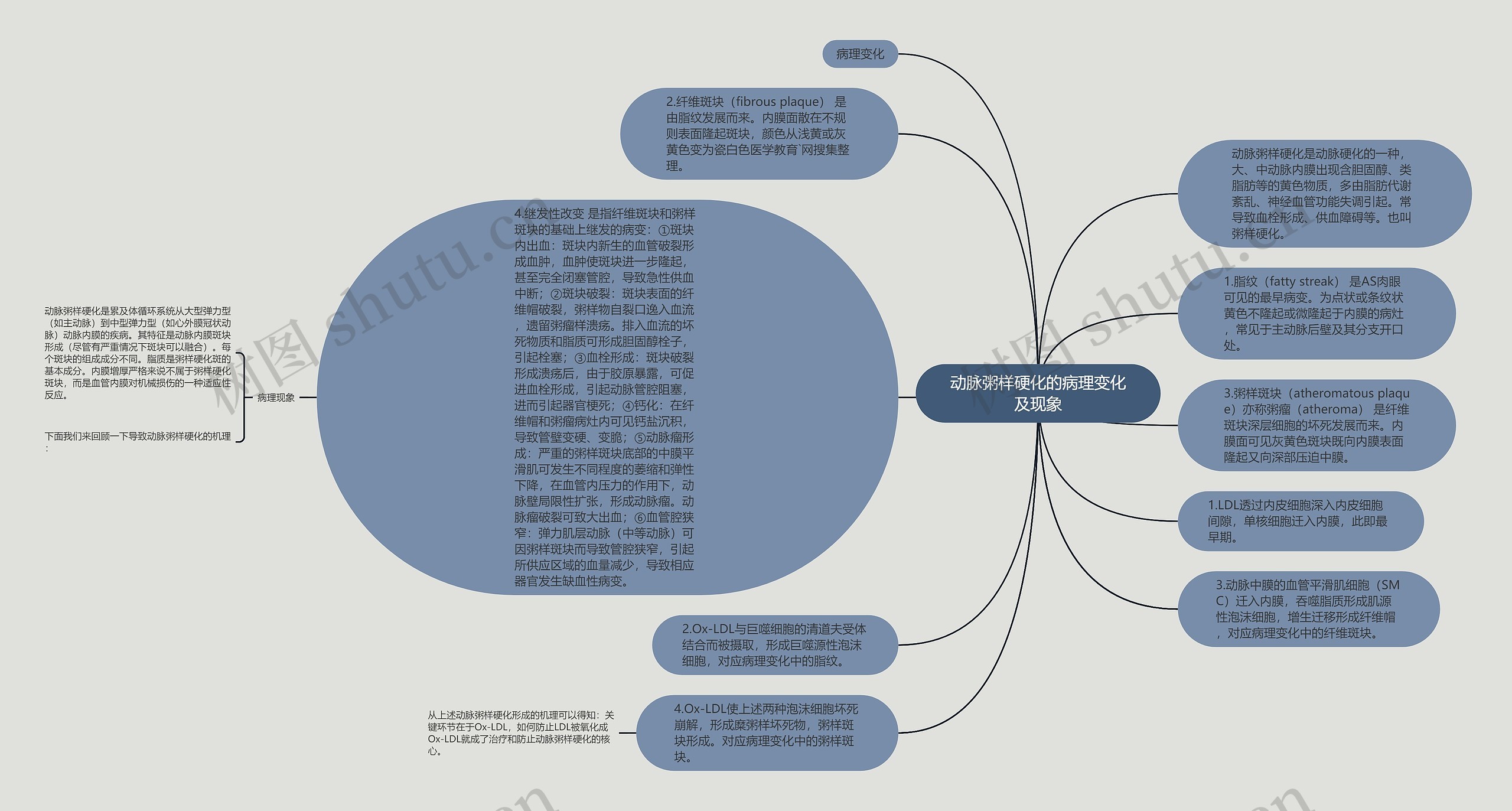 动脉粥样硬化的病理变化及现象思维导图