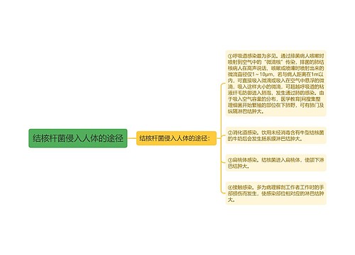 结核杆菌侵入人体的途径