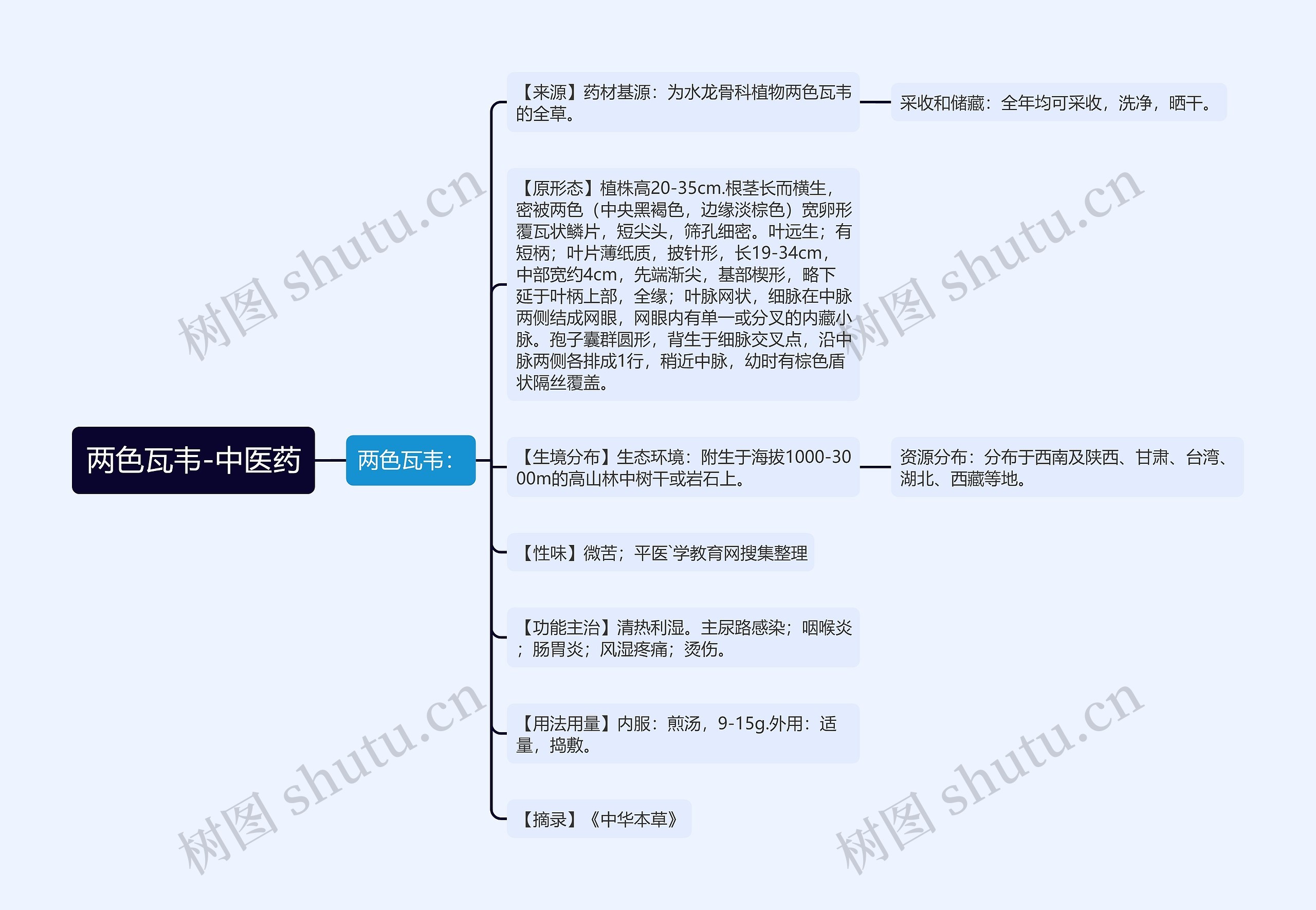 两色瓦韦-中医药思维导图