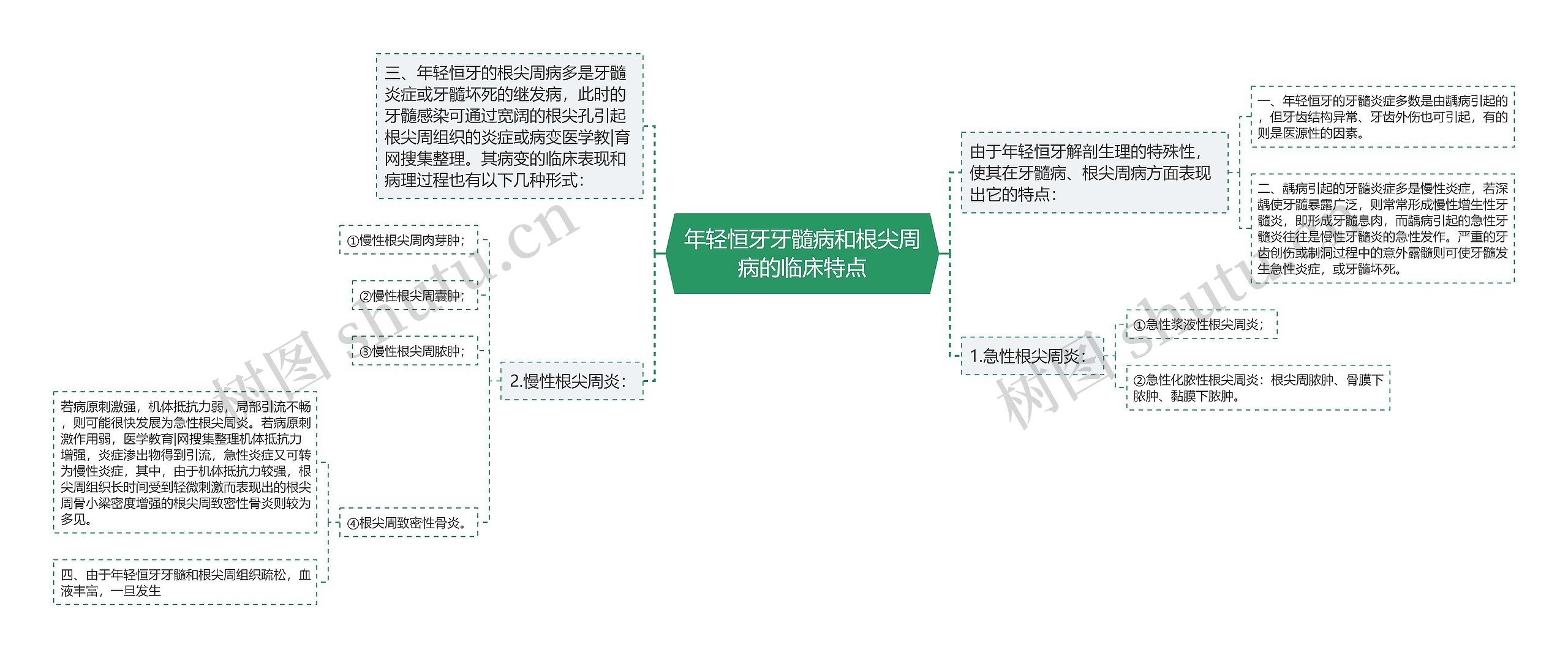 年轻恒牙牙髓病和根尖周病的临床特点思维导图