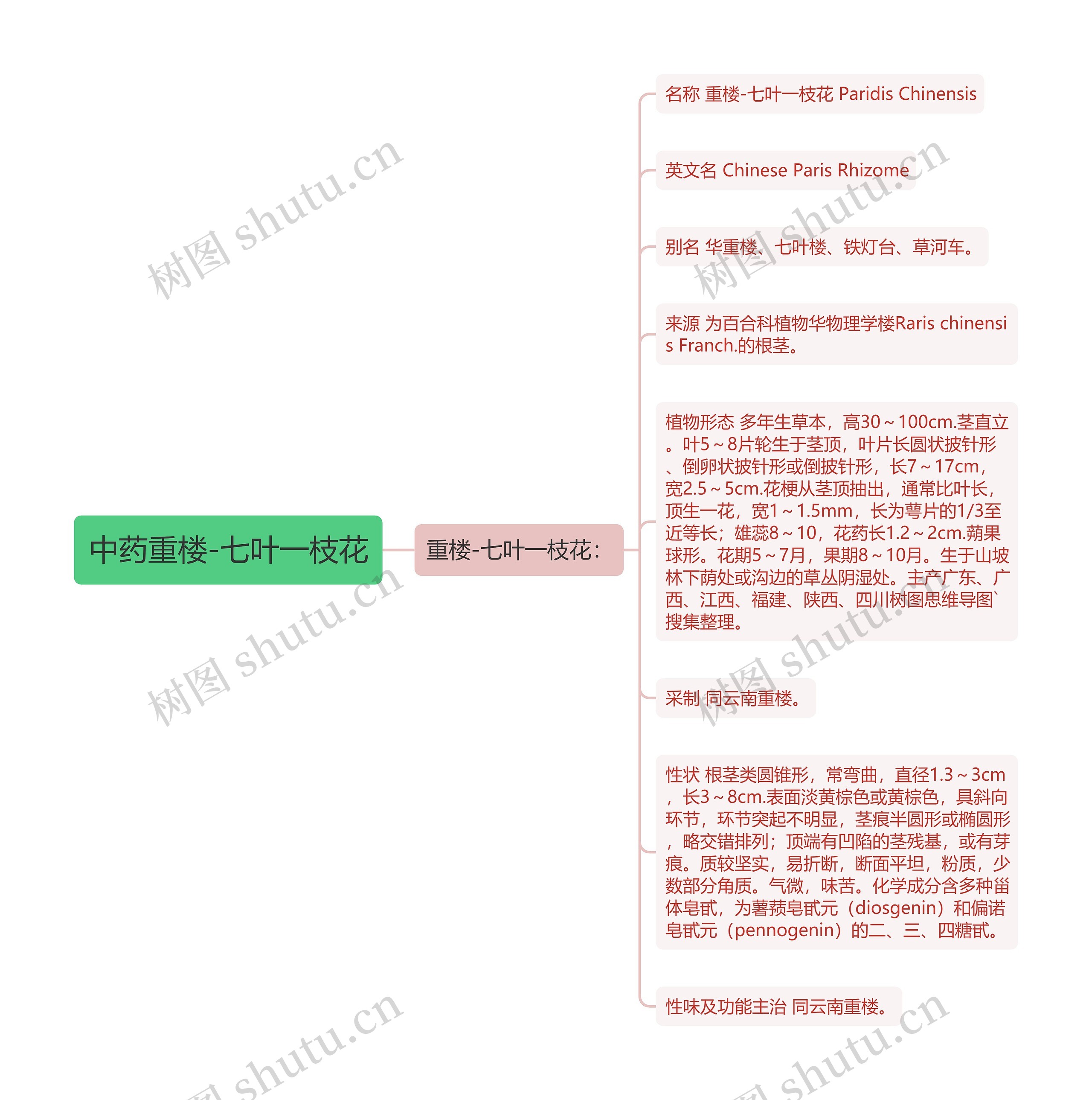 中药重楼-七叶一枝花思维导图