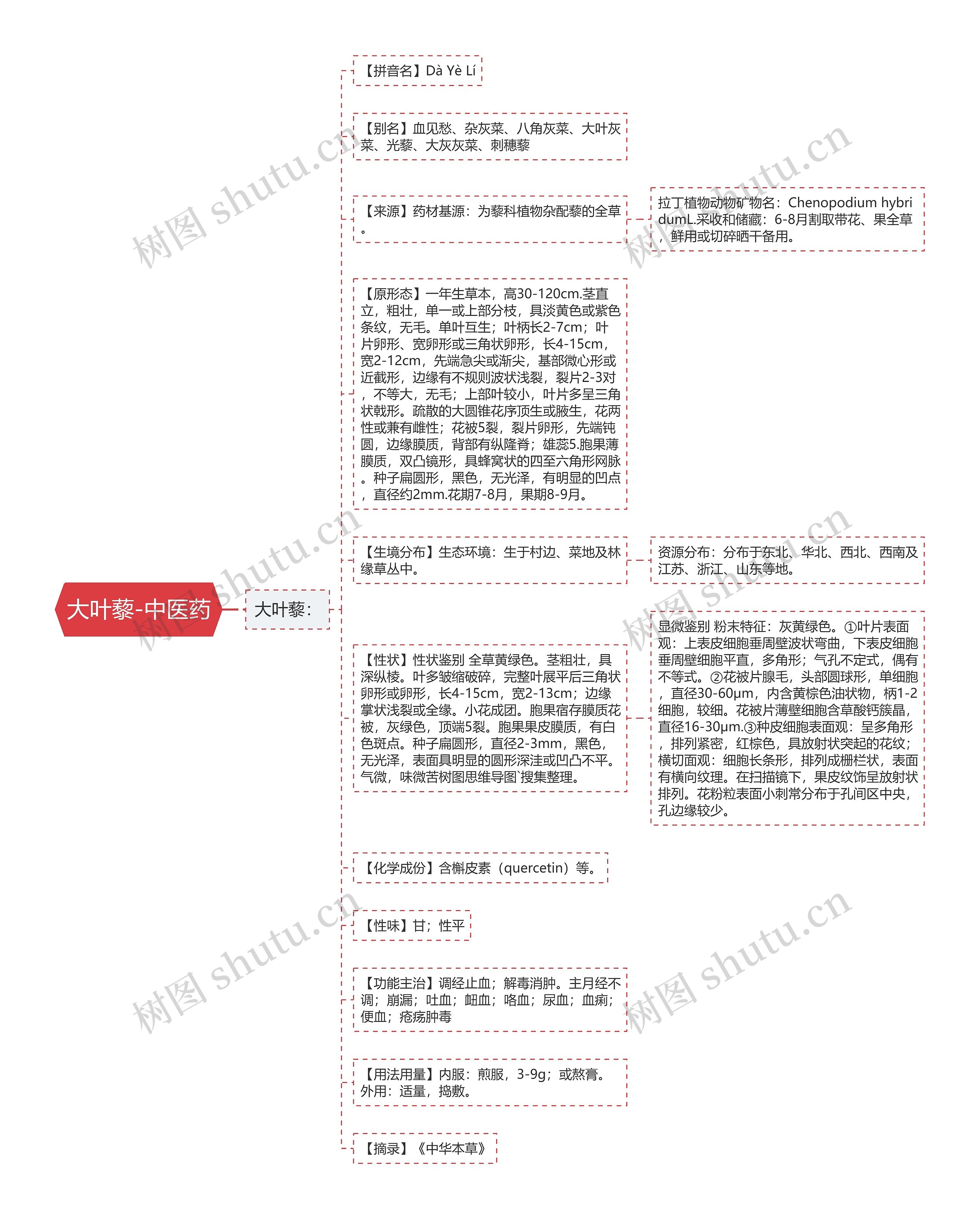 大叶藜-中医药思维导图