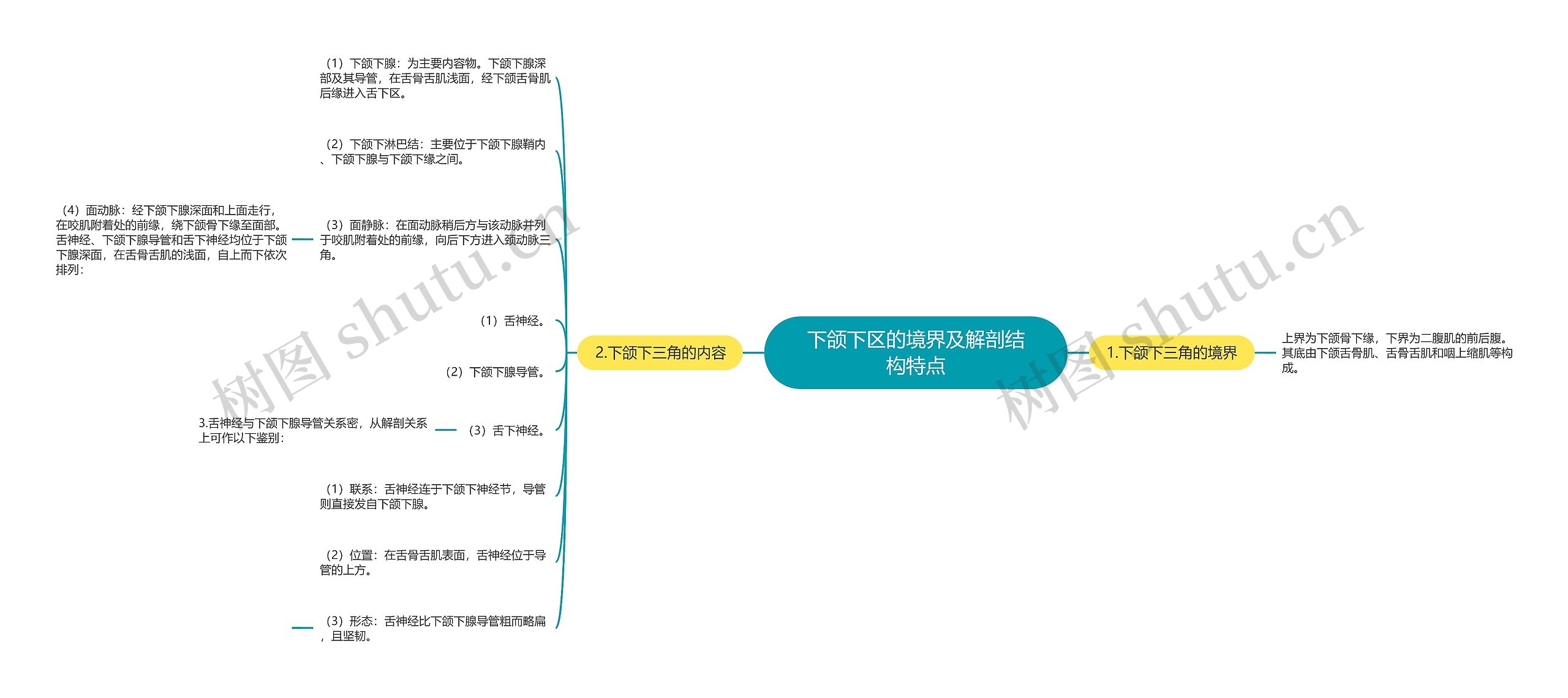 下颌下区的境界及解剖结构特点思维导图