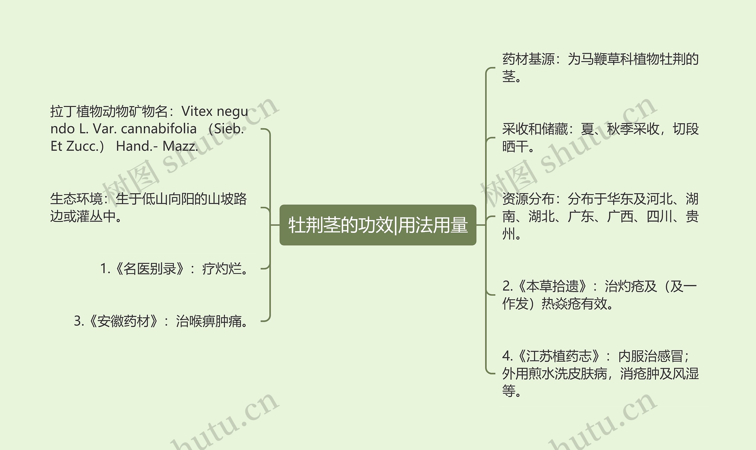 牡荆茎的功效|用法用量思维导图