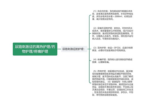 尿路刺激征的高热护理/药物护理/疼痛护理