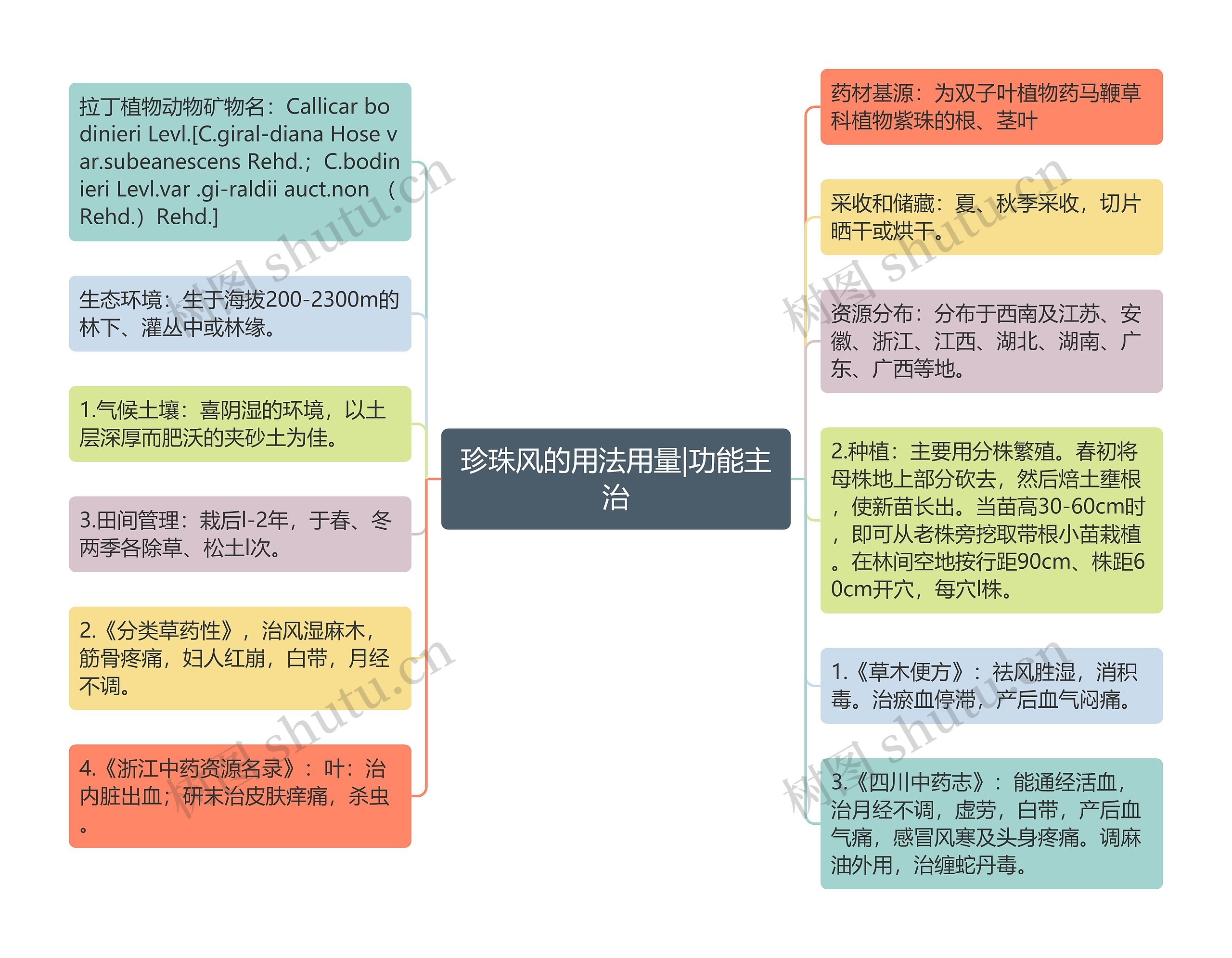 珍珠风的用法用量|功能主治思维导图