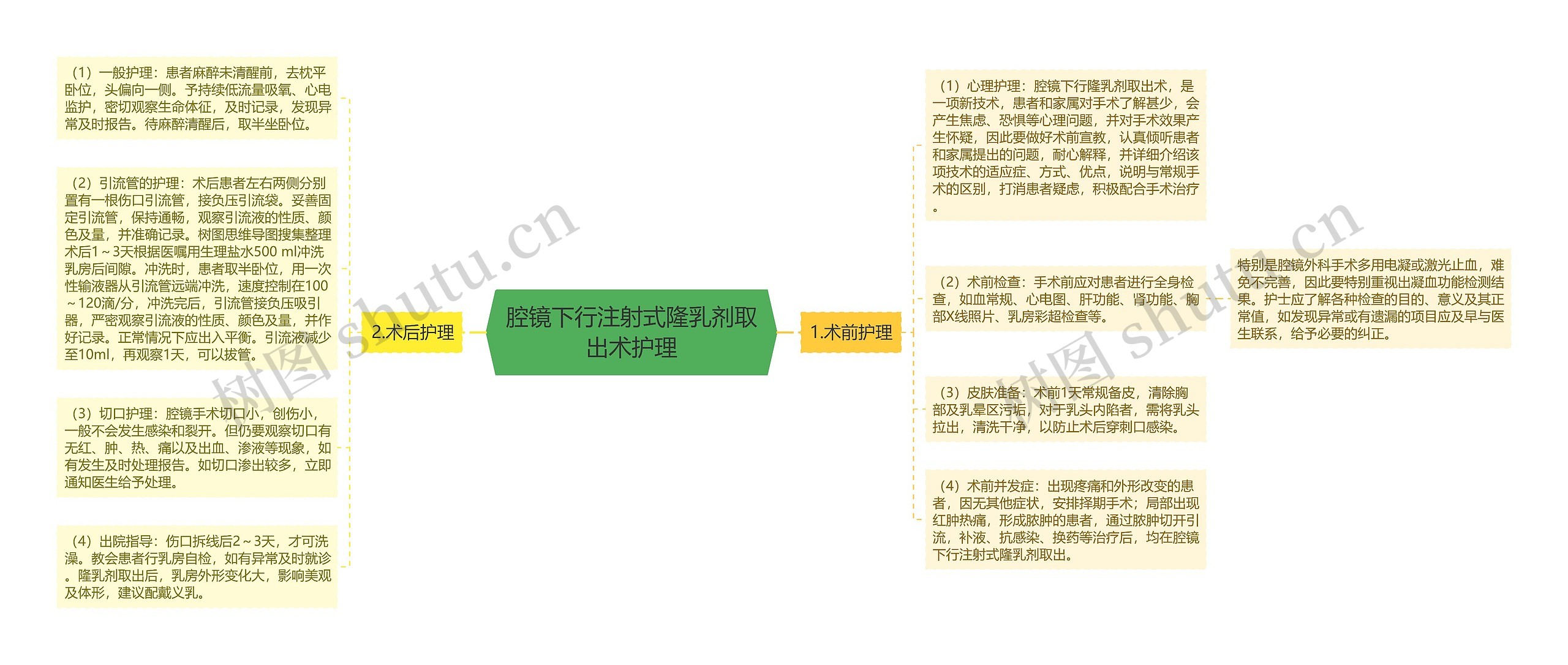 腔镜下行注射式隆乳剂取出术护理思维导图