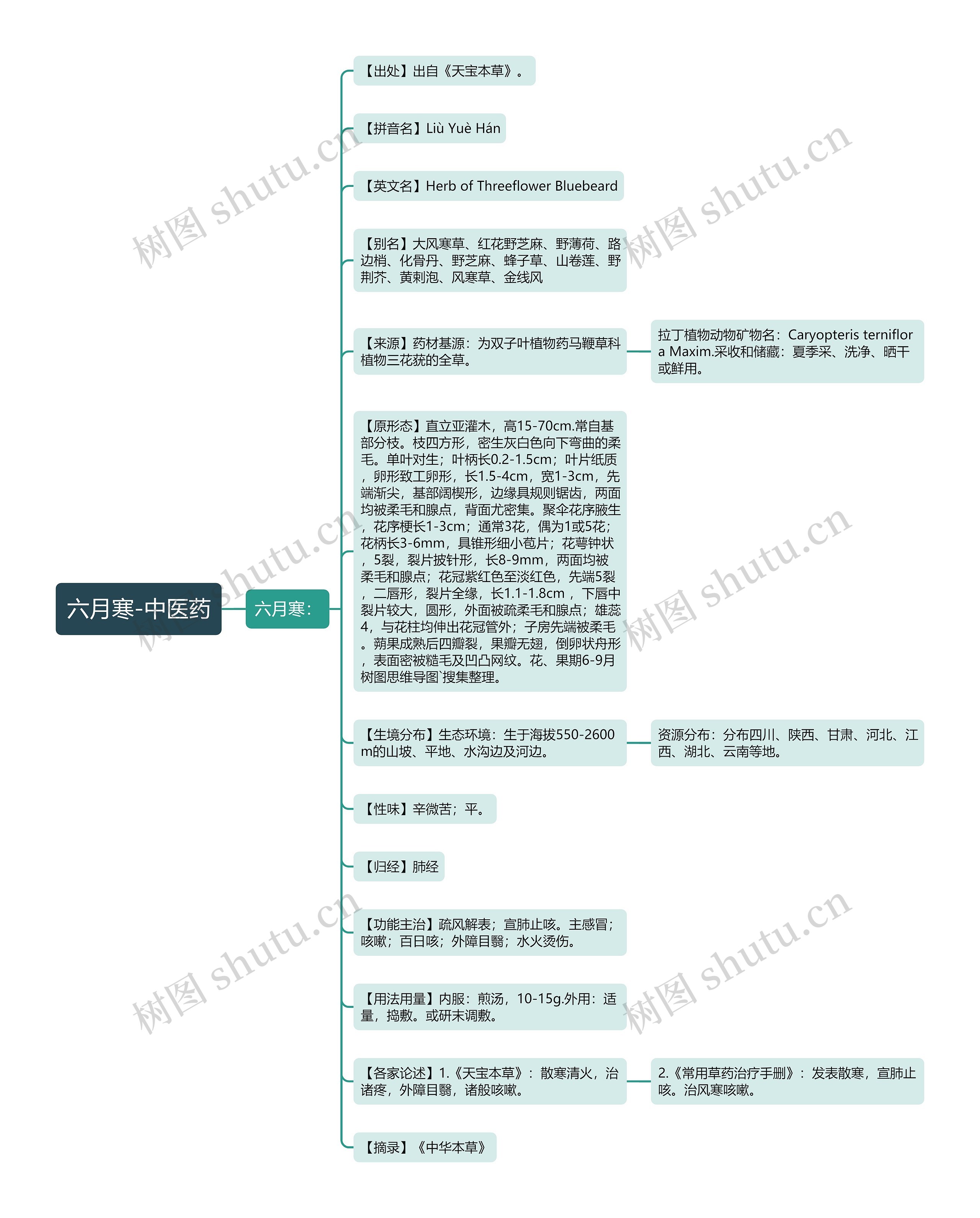 六月寒-中医药思维导图