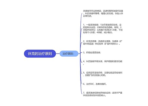 休克的治疗原则