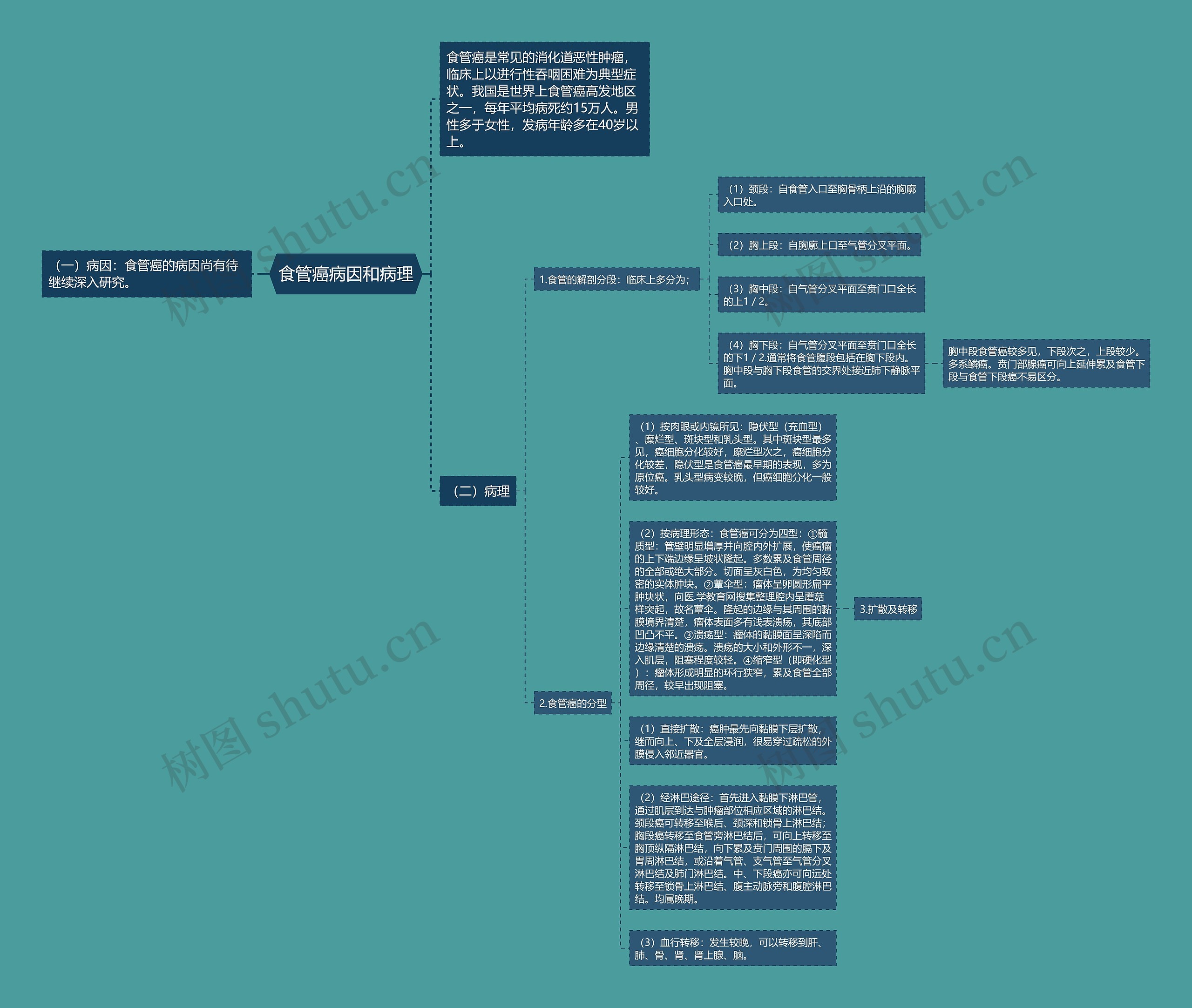 食管癌病因和病理思维导图