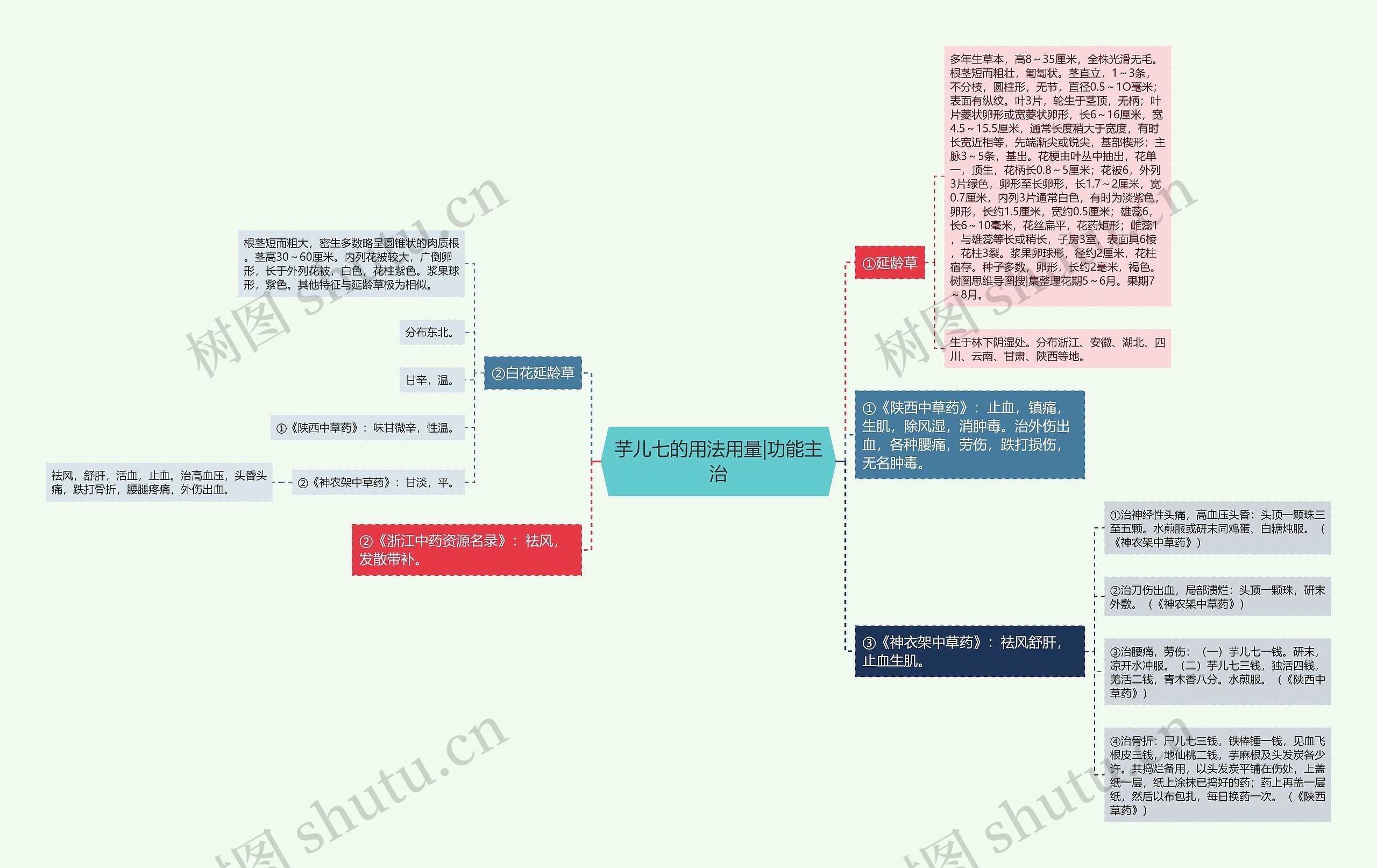 芋儿七的用法用量|功能主治思维导图