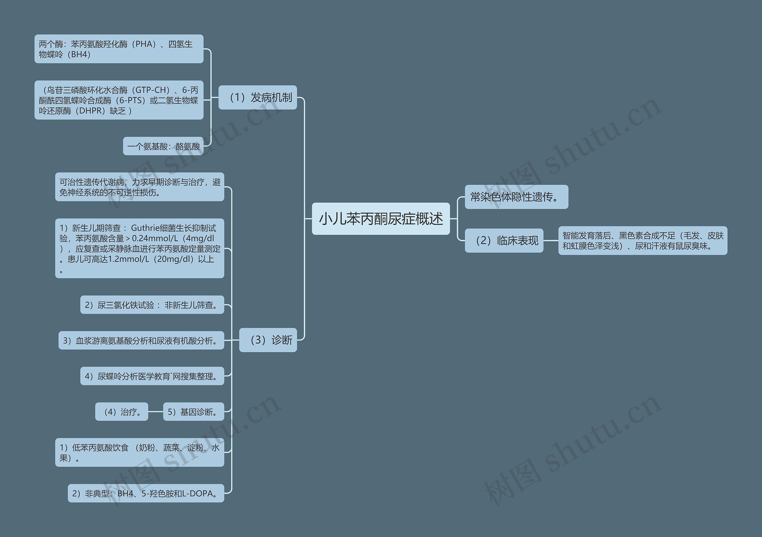 小儿苯丙酮尿症概述思维导图