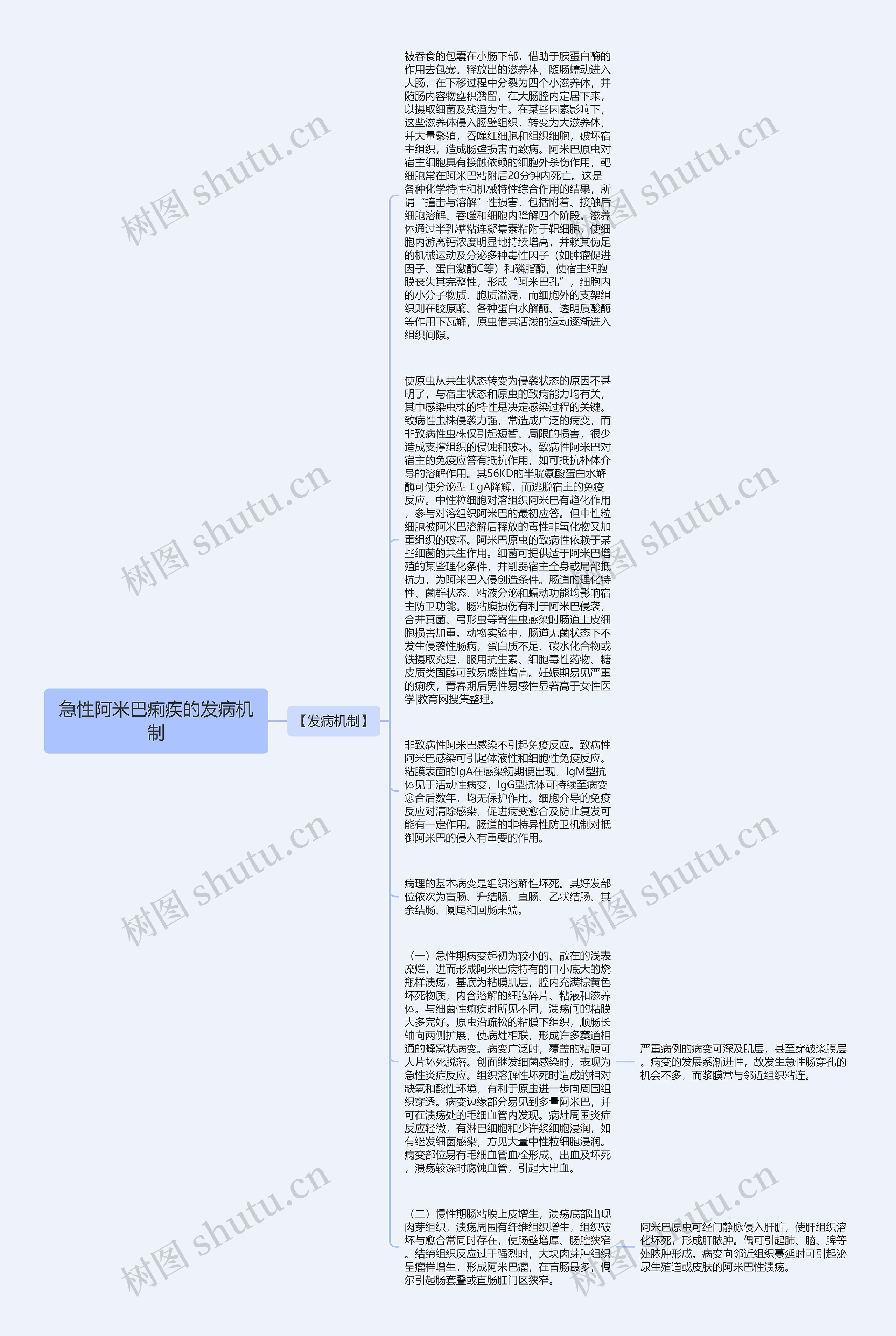 急性阿米巴痢疾的发病机制思维导图