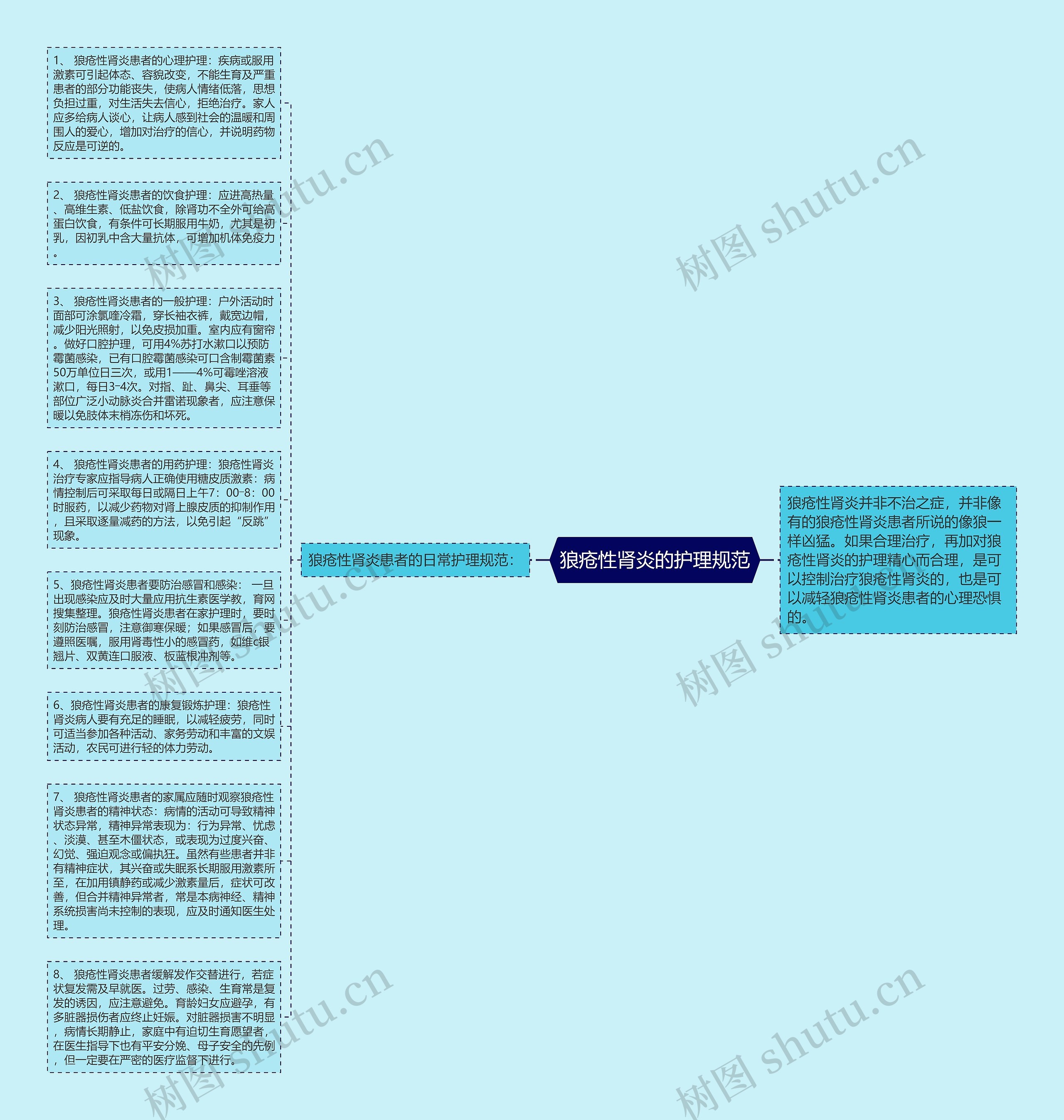 狼疮性肾炎的护理规范思维导图